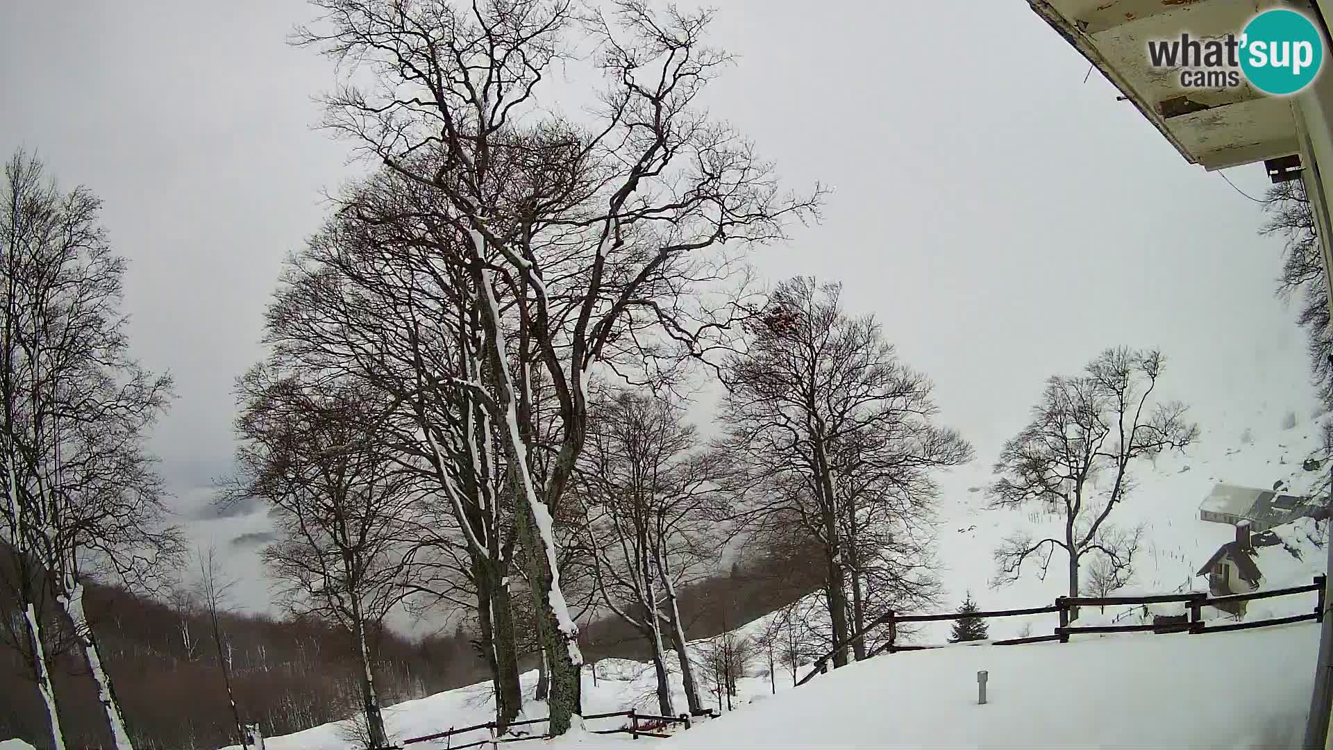 Planina Razor Bergütte Webcam (1315) | Blick auf Tolminski Migovec