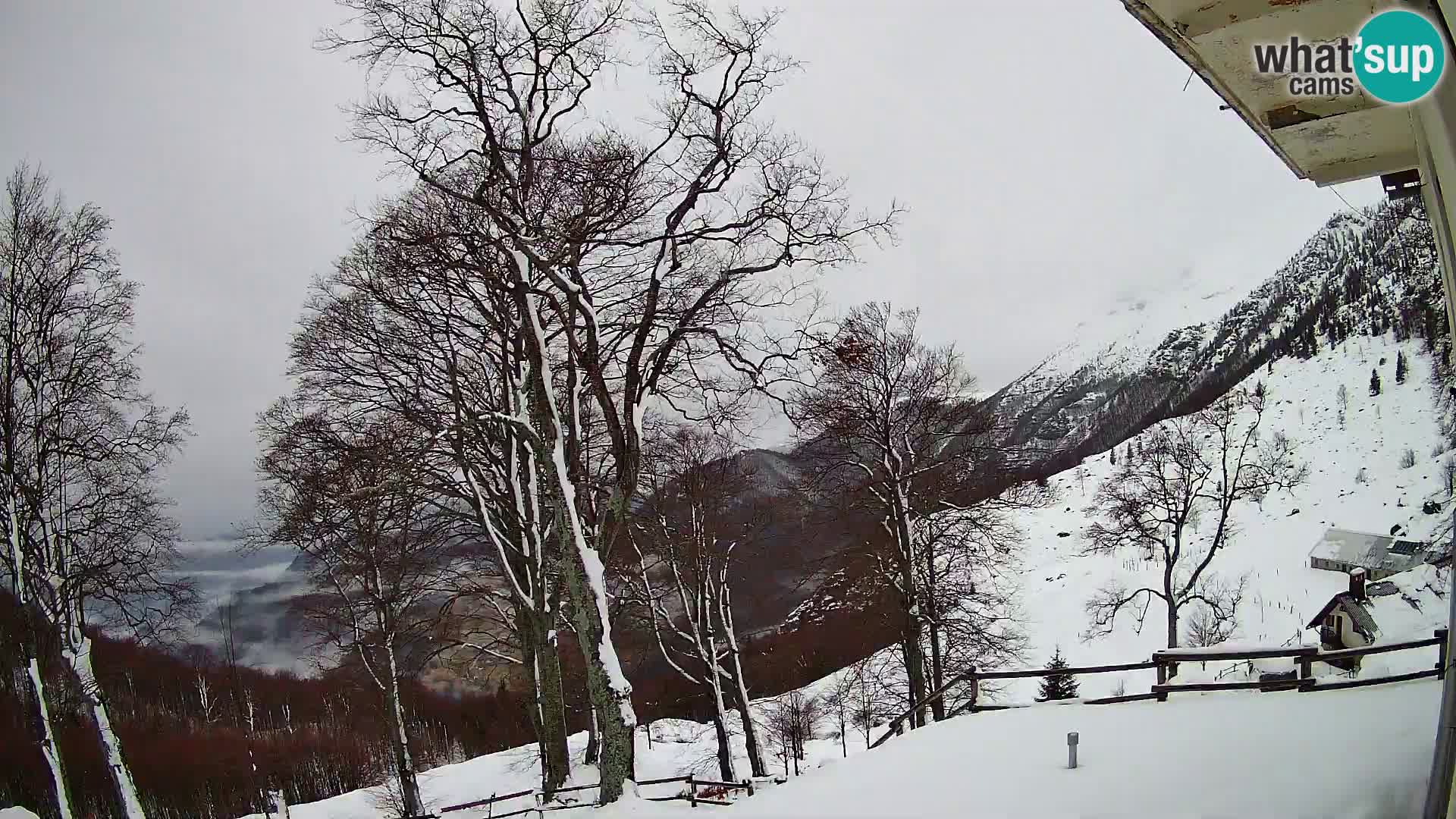 Refuge de la montagne Planina Razor caméra en direct (1315) | vue sur Tolminski Migovec