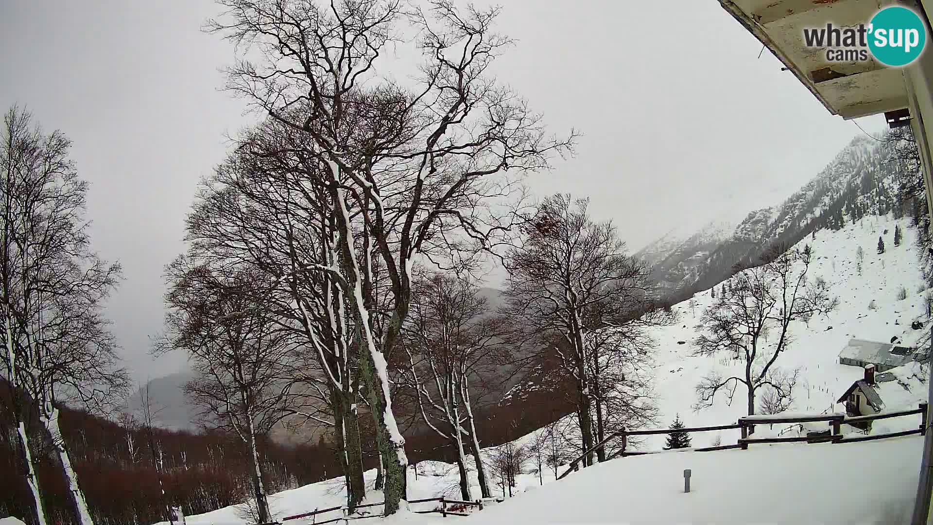 Refuge de la montagne Planina Razor caméra en direct (1315) | vue sur Tolminski Migovec