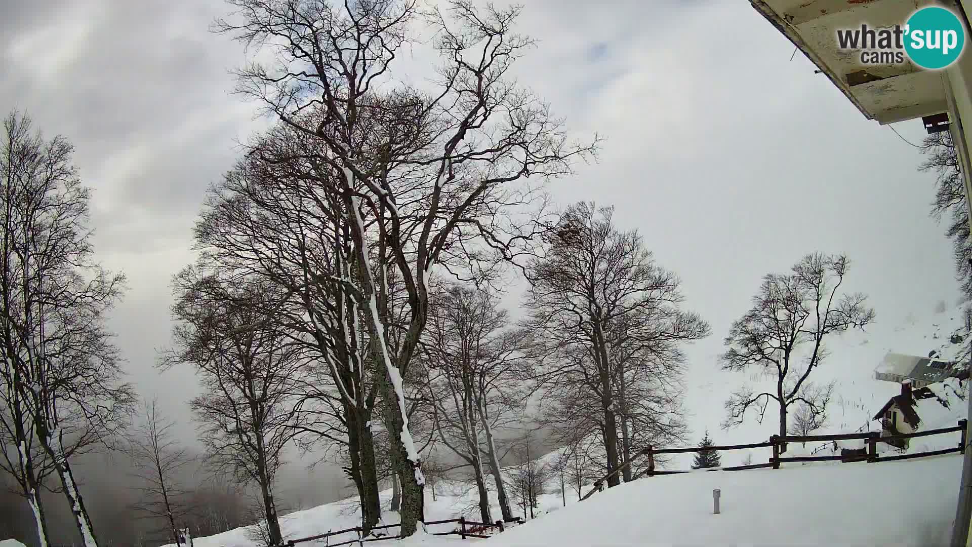 Cámara en vivo de la cabaña de montaña Planina Razor (1315) | vista hacia Tolminski Migovec