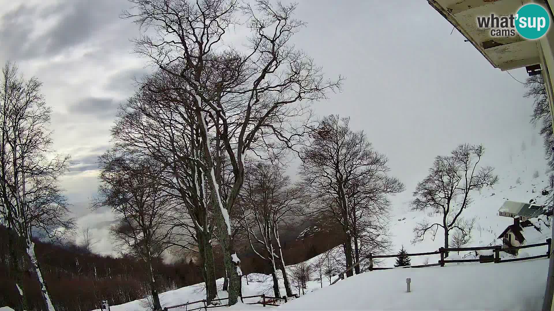 Baita di montagna Planina Razor webcam (1315) | vista su Tolminski Migovec