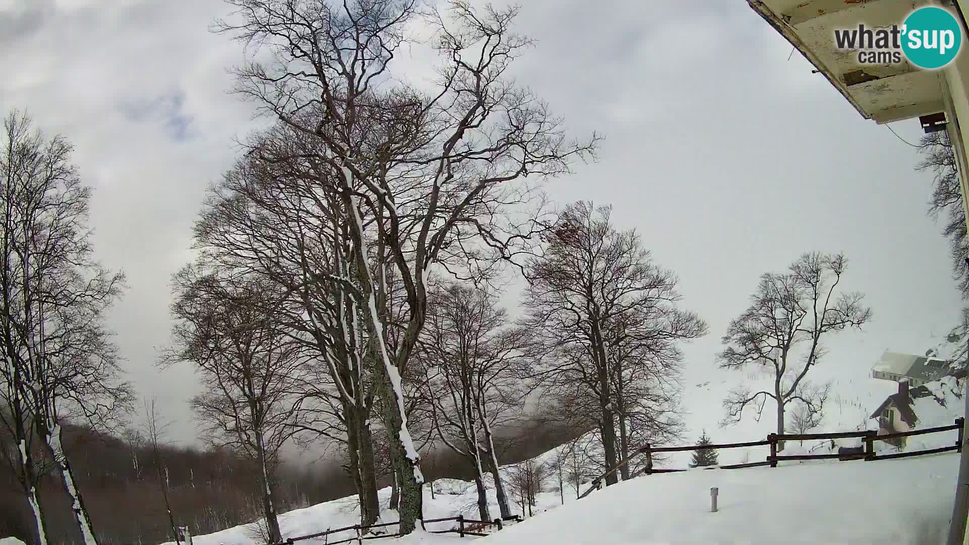 Planina Razor Bergütte Webcam (1315) | Blick auf Tolminski Migovec