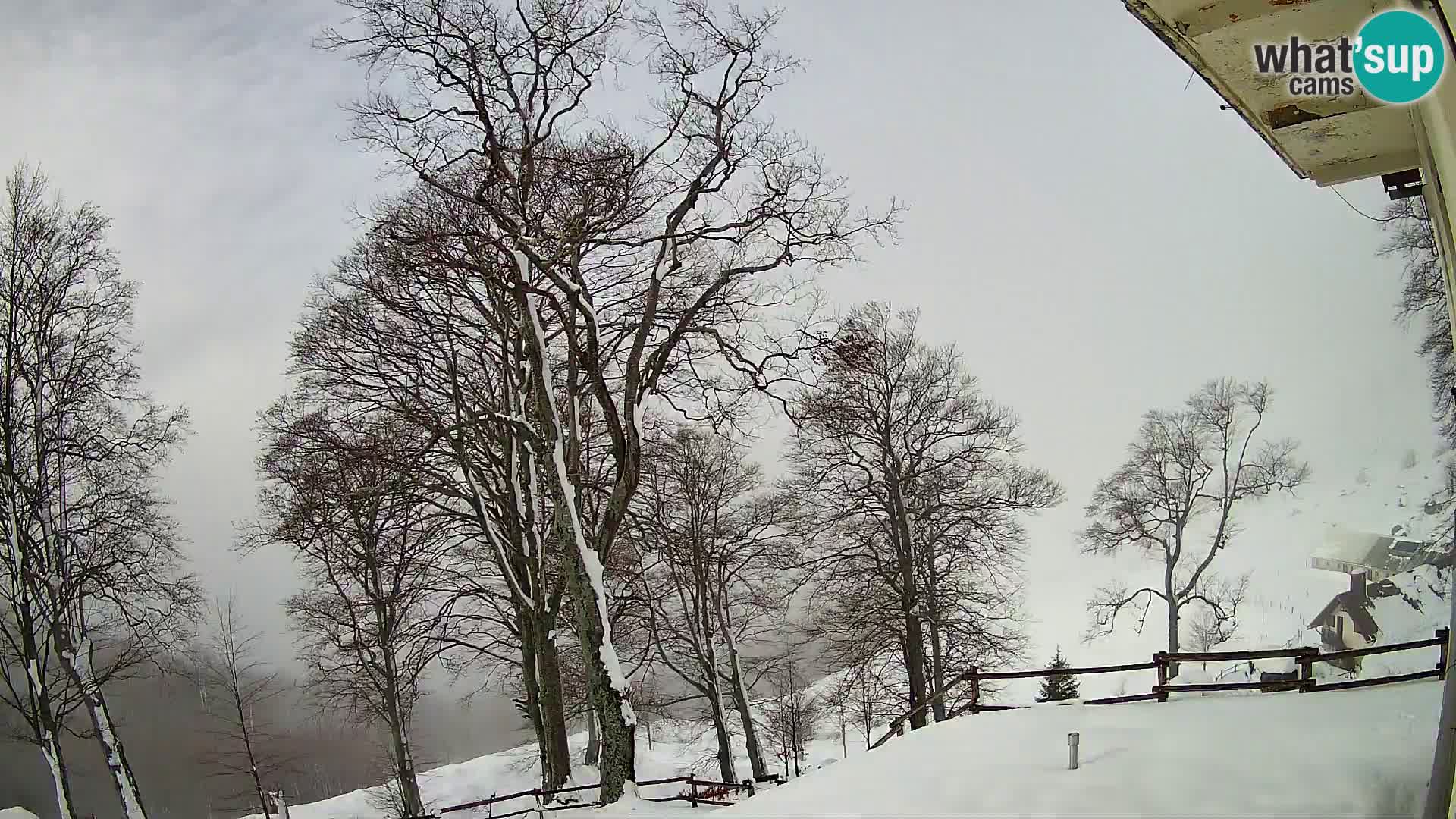 Planina Razor Bergütte Webcam (1315) | Blick auf Tolminski Migovec