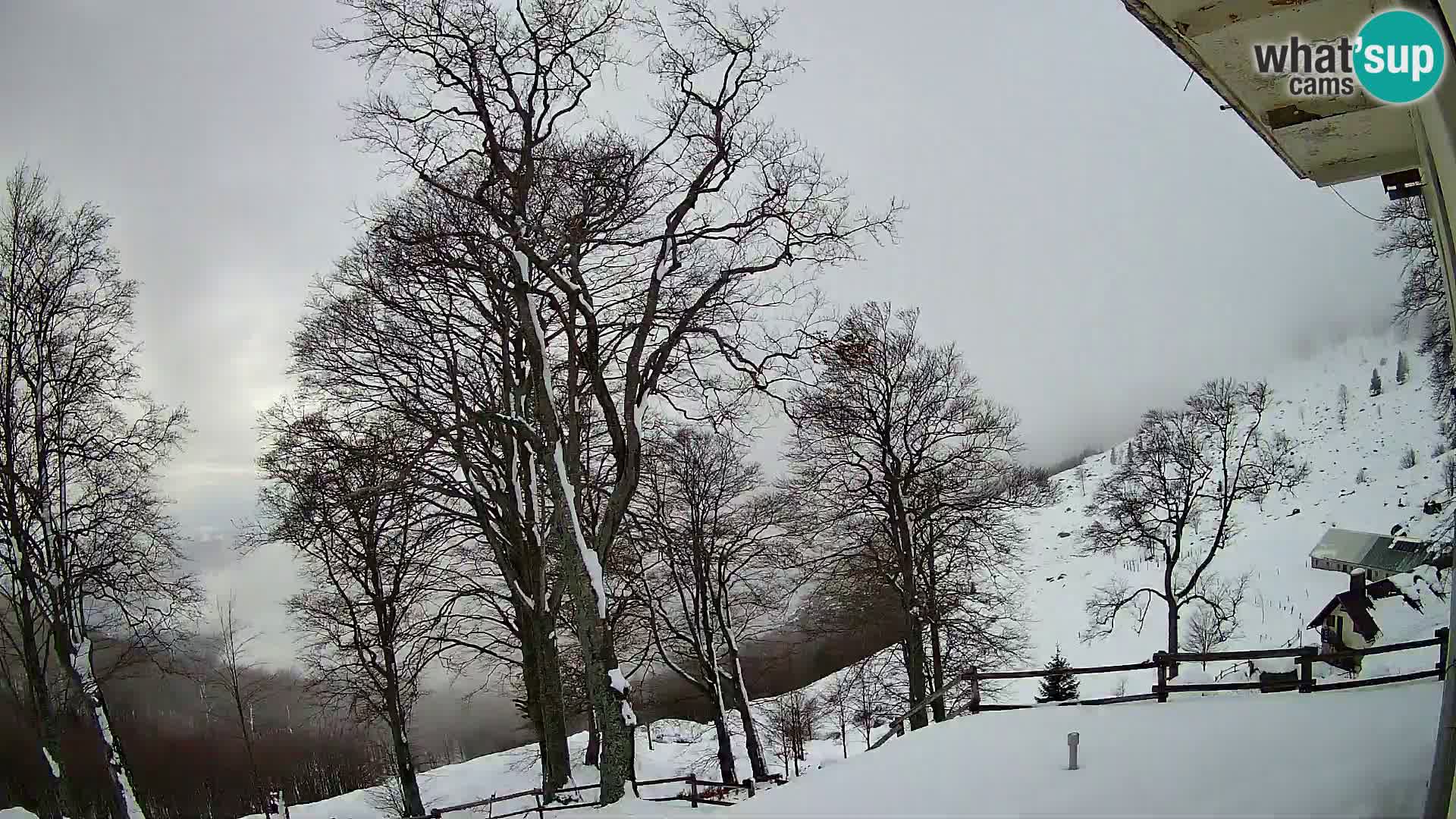 Planina Razor Bergütte Webcam (1315) | Blick auf Tolminski Migovec