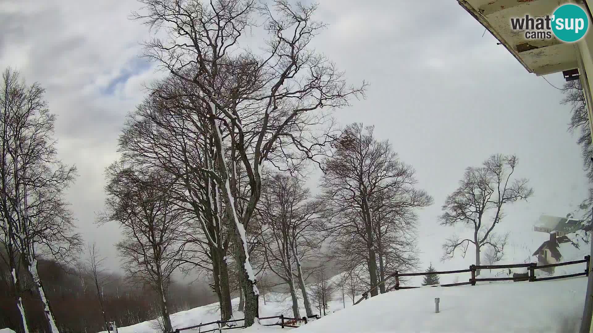 Cámara en vivo de la cabaña de montaña Planina Razor (1315) | vista hacia Tolminski Migovec