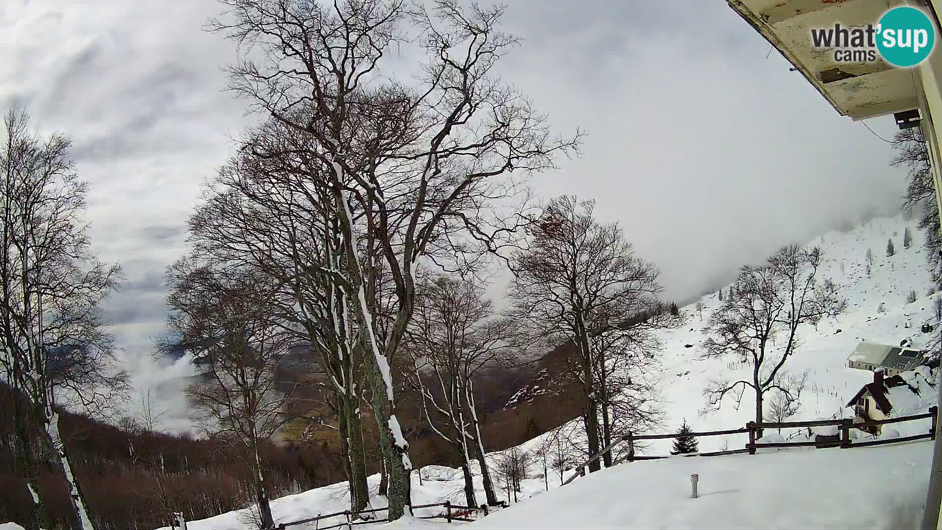 Planina Razor Bergütte Webcam (1315) | Blick auf Tolminski Migovec