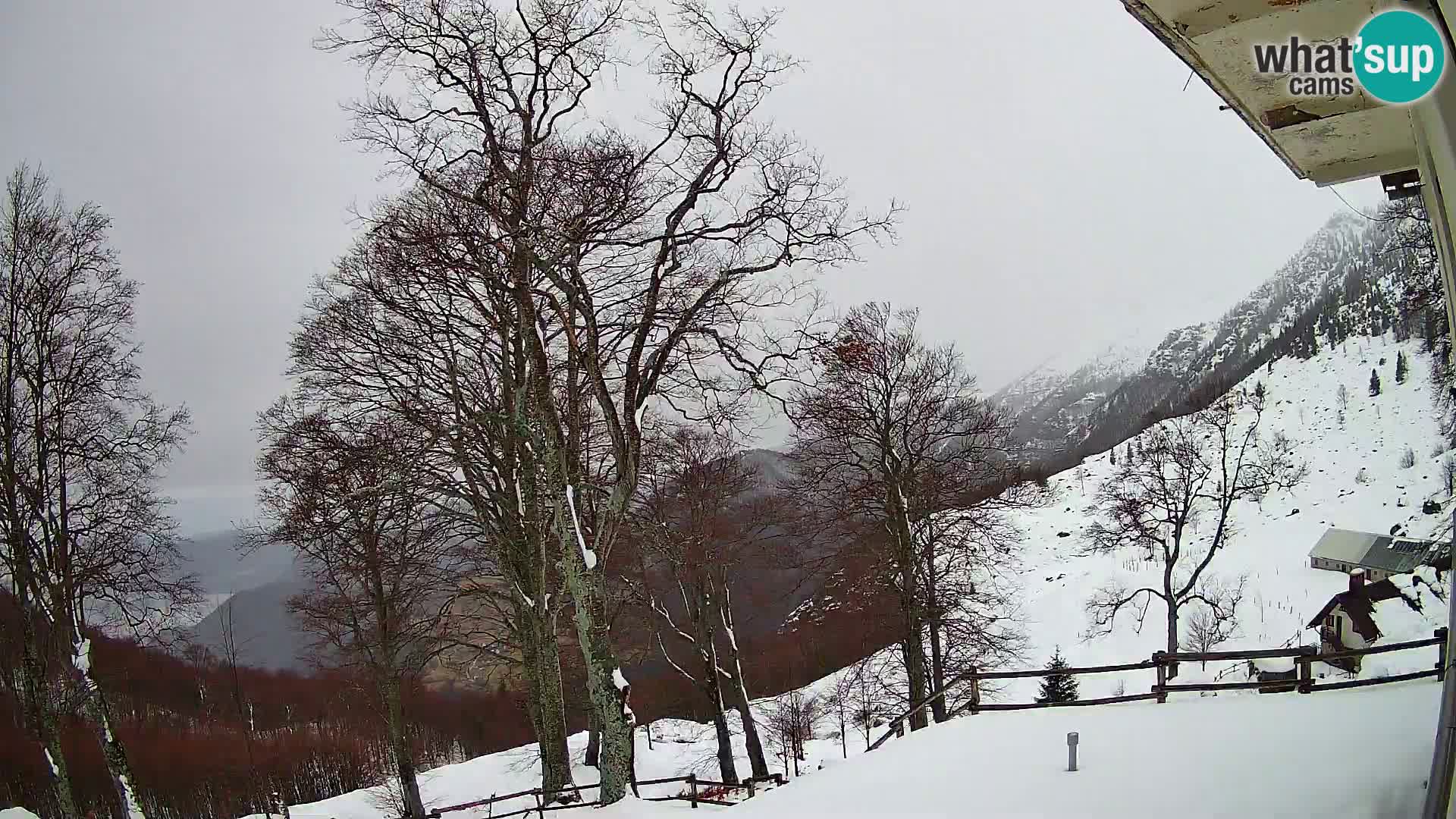 Refuge de la montagne Planina Razor caméra en direct (1315) | vue sur Tolminski Migovec