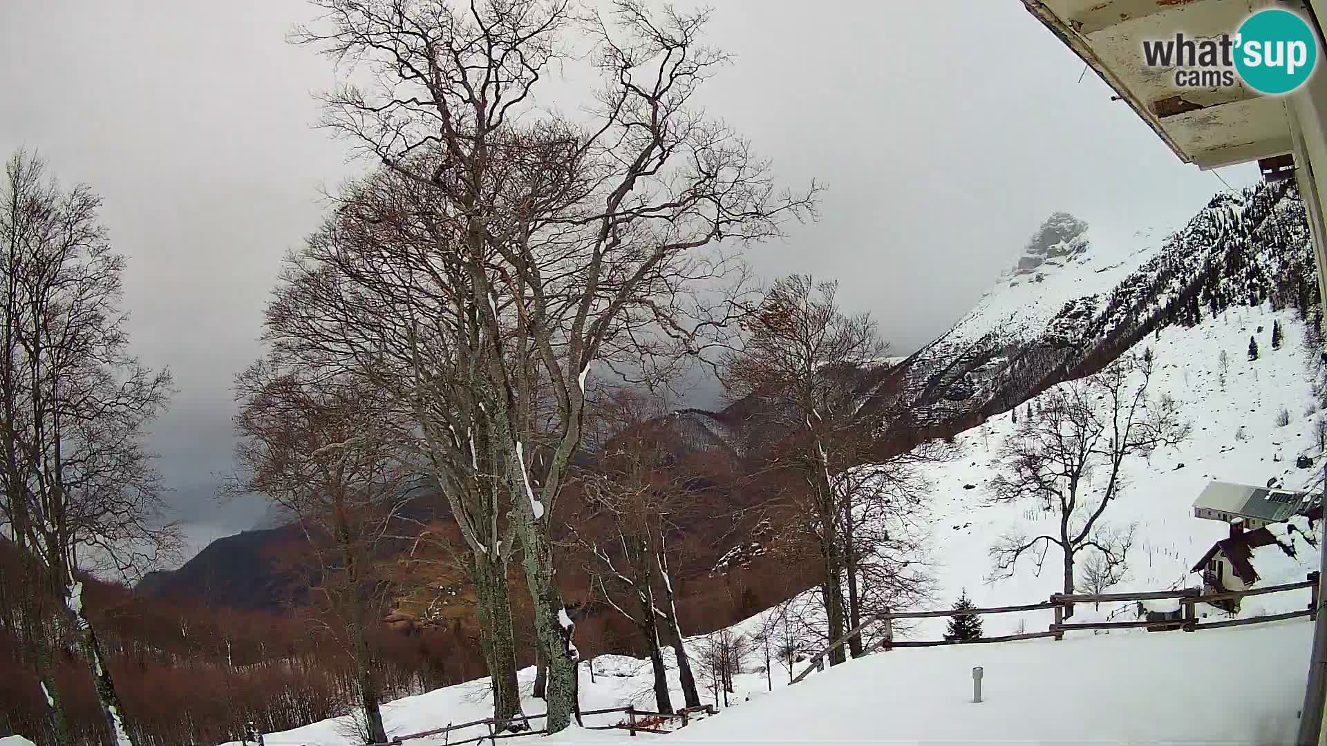 Baita di montagna Planina Razor webcam (1315) | vista su Tolminski Migovec