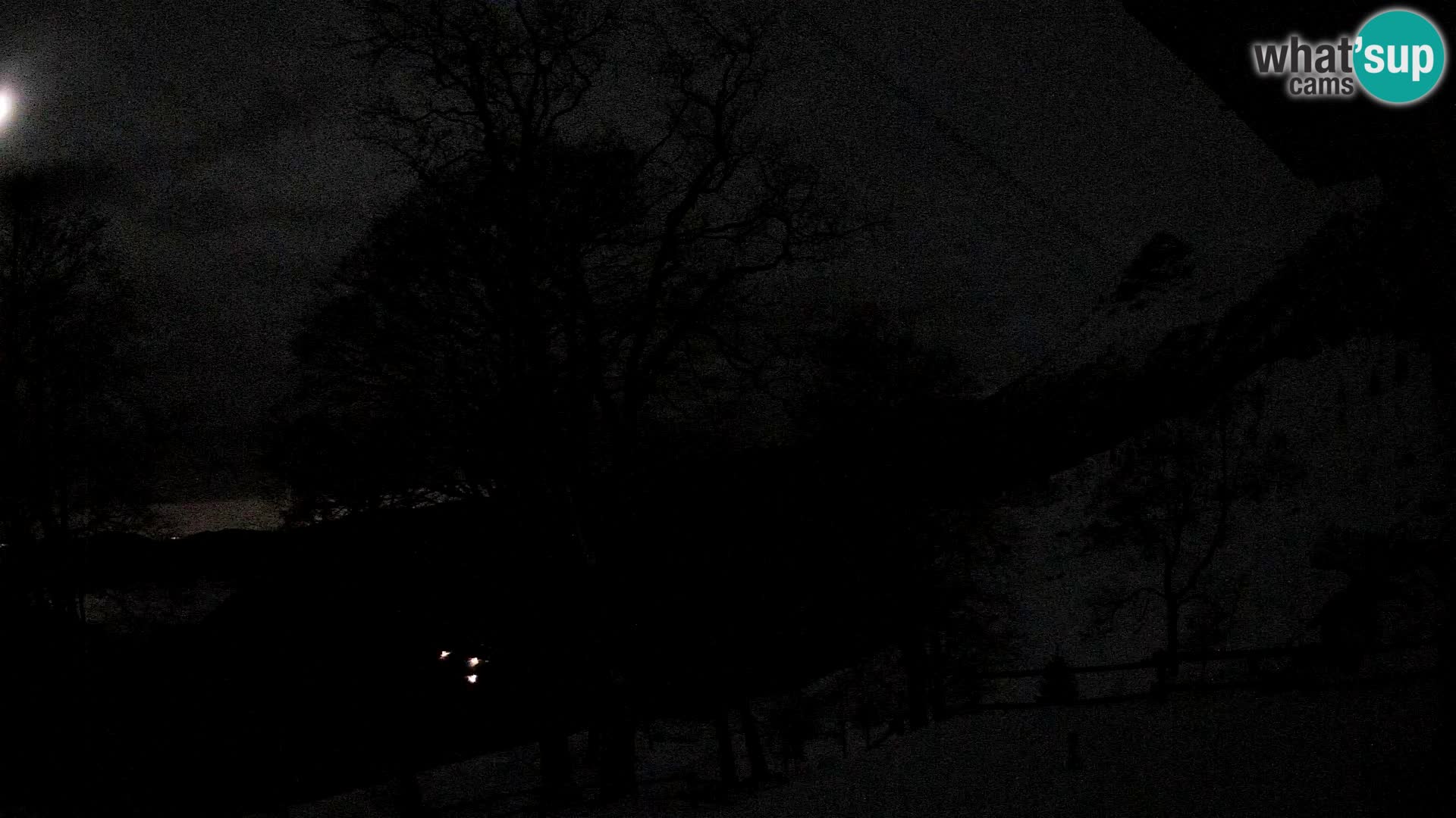 Cámara en vivo de la cabaña de montaña Planina Razor (1315) | vista hacia Tolminski Migovec