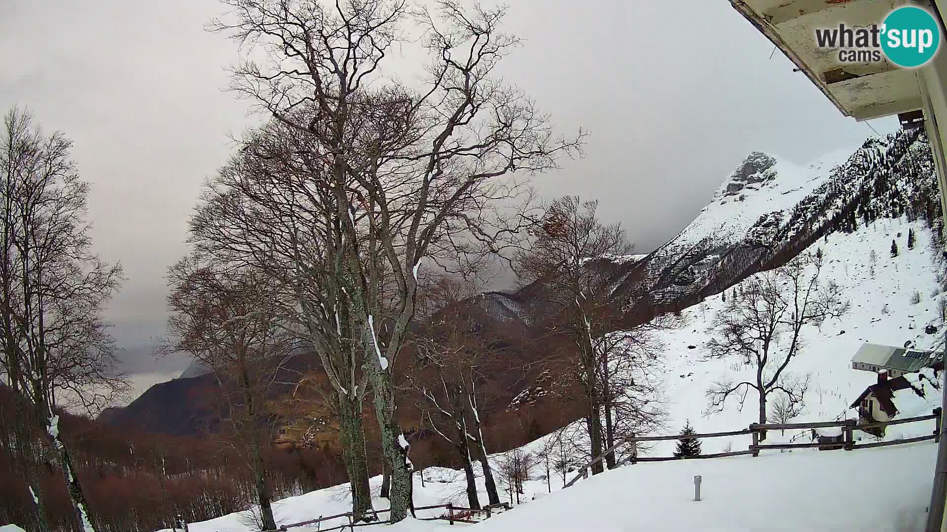 Baita di montagna Planina Razor webcam (1315) | vista su Tolminski Migovec