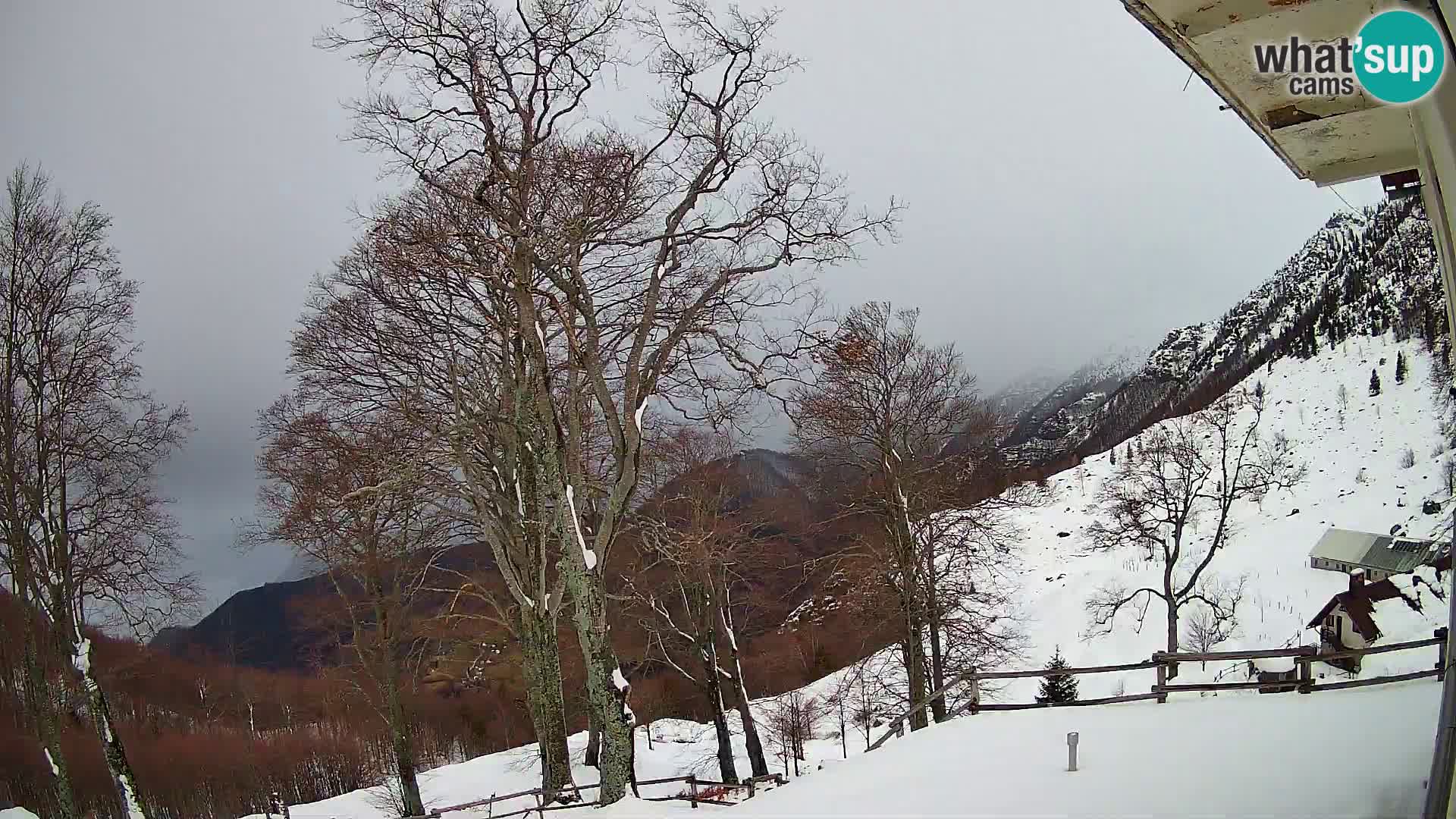 Baita di montagna Planina Razor webcam (1315) | vista su Tolminski Migovec