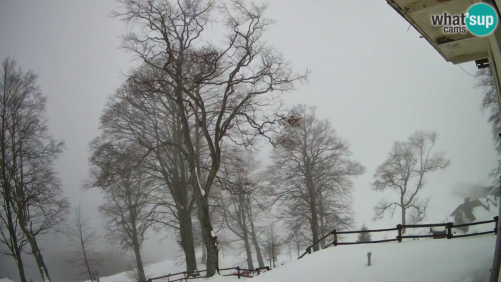 Planina Razor Bergütte Webcam (1315) | Blick auf Tolminski Migovec