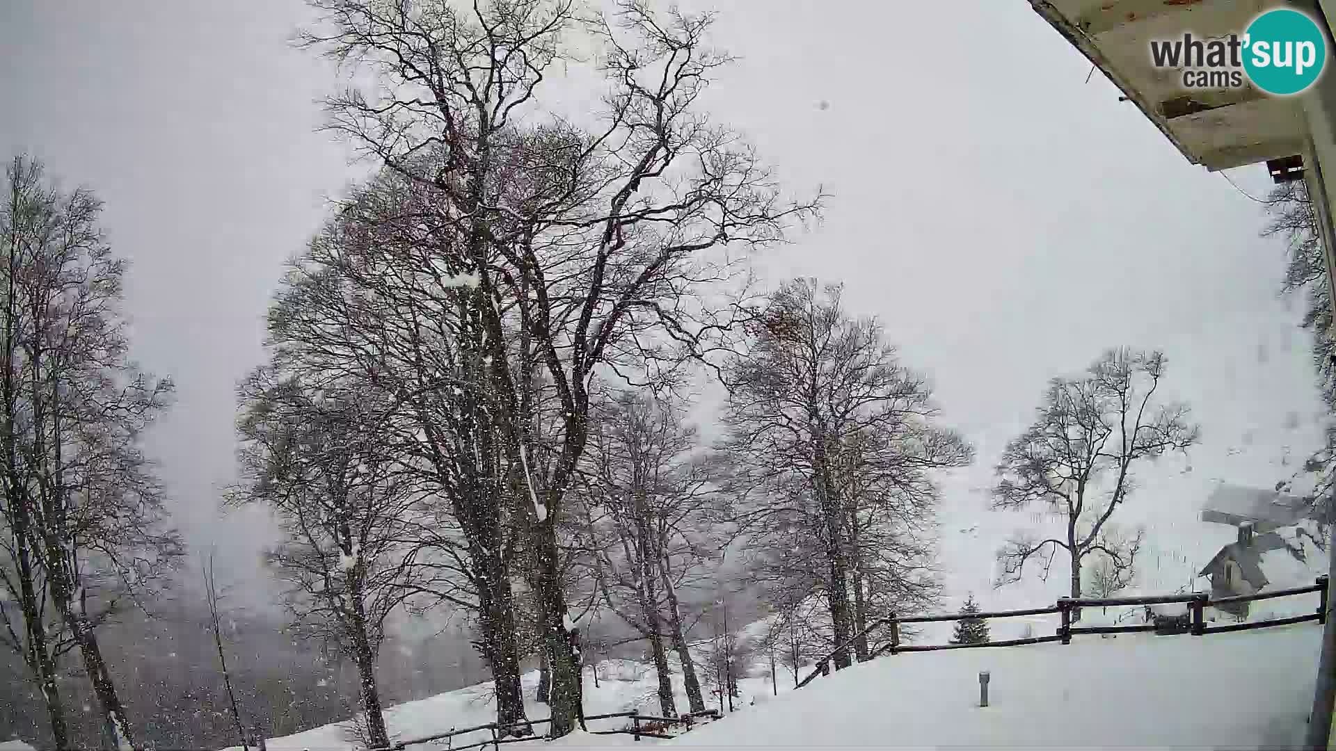 Planina Razor Bergütte Webcam (1315) | Blick auf Tolminski Migovec