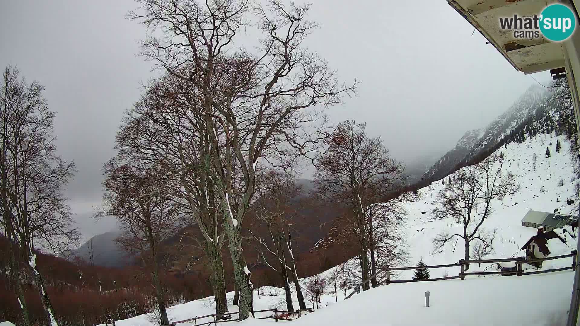 Refuge de la montagne Planina Razor caméra en direct (1315) | vue sur Tolminski Migovec