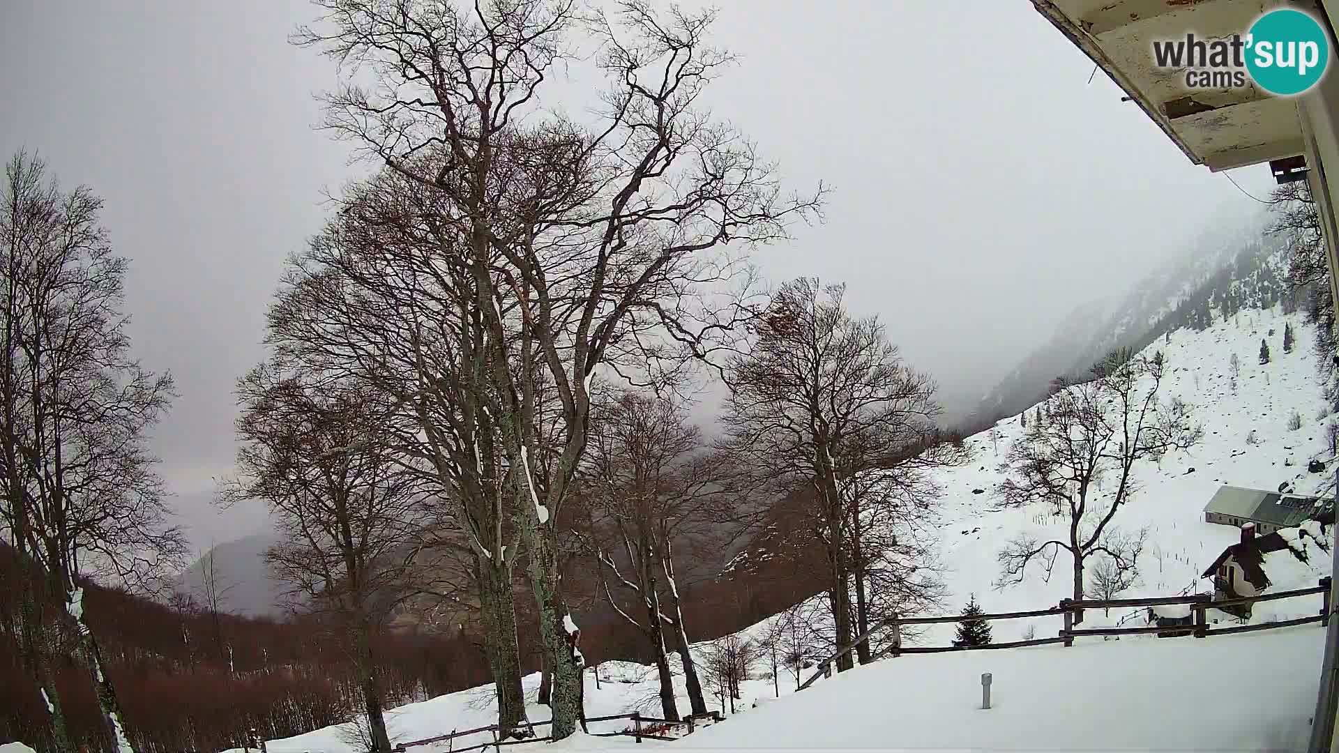 Planina Razor Mountain Hut live cam (1315) | view to Tolminski Migovec