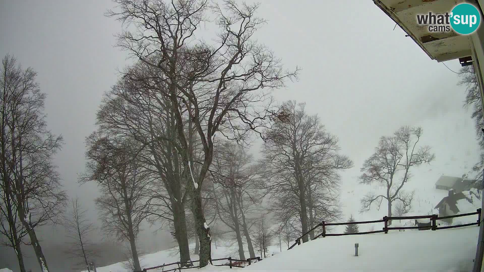 Baita di montagna Planina Razor webcam (1315) | vista su Tolminski Migovec