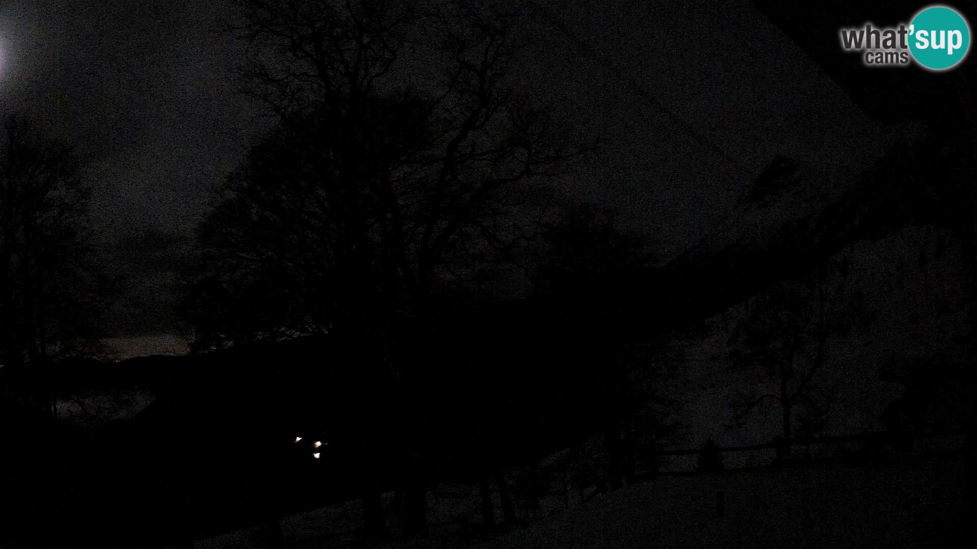 Baita di montagna Planina Razor webcam (1315) | vista su Tolminski Migovec