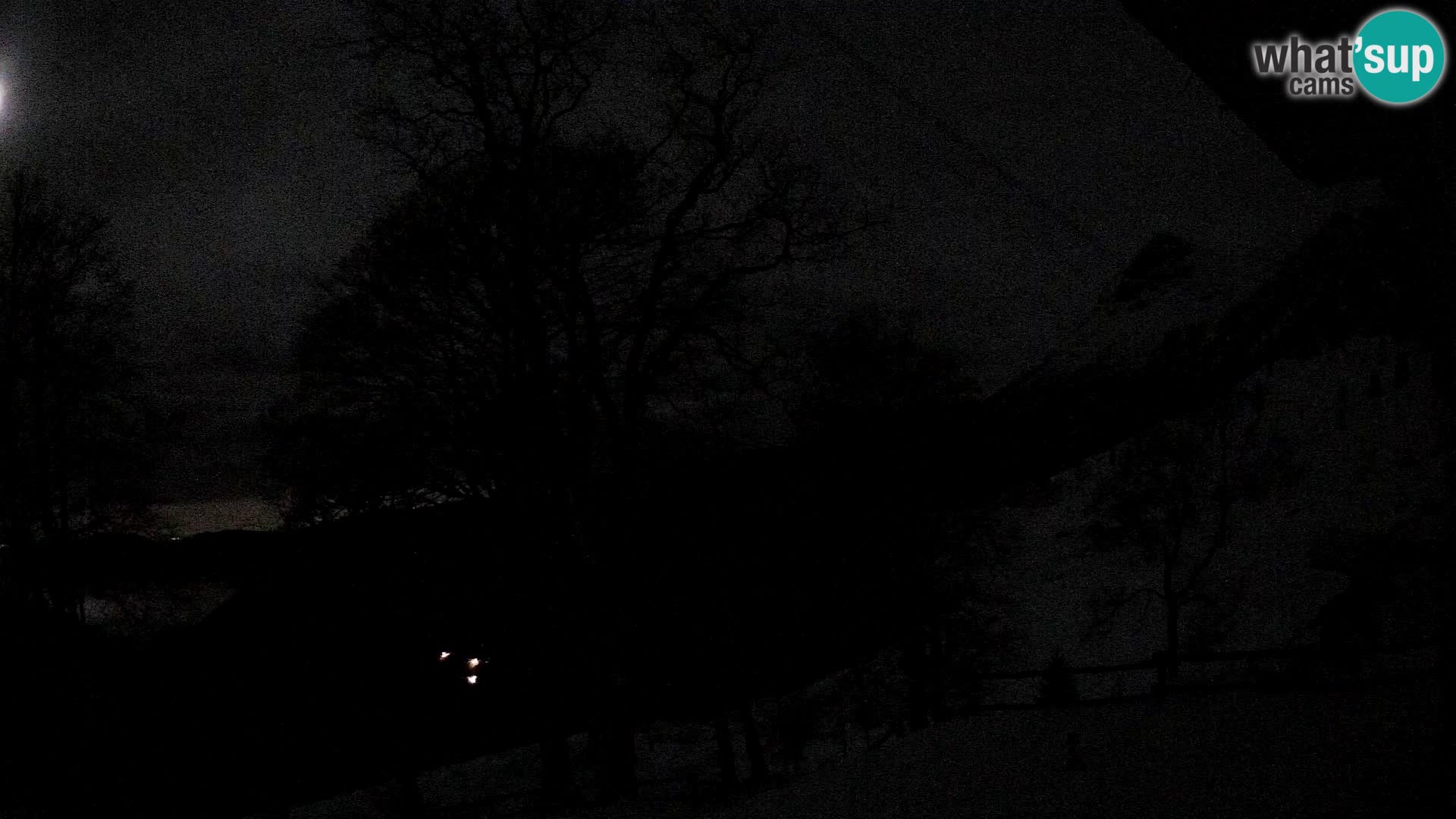 Baita di montagna Planina Razor webcam (1315) | vista su Tolminski Migovec