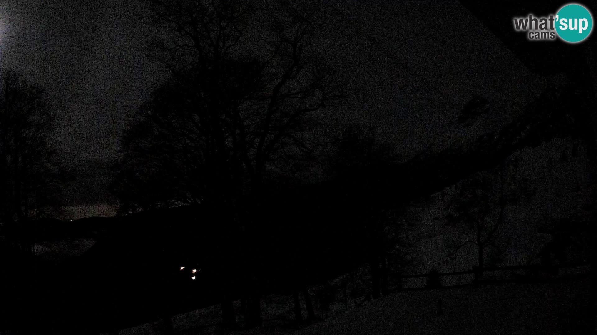 Planina Razor Mountain Hut live cam (1315) | view to Tolminski Migovec