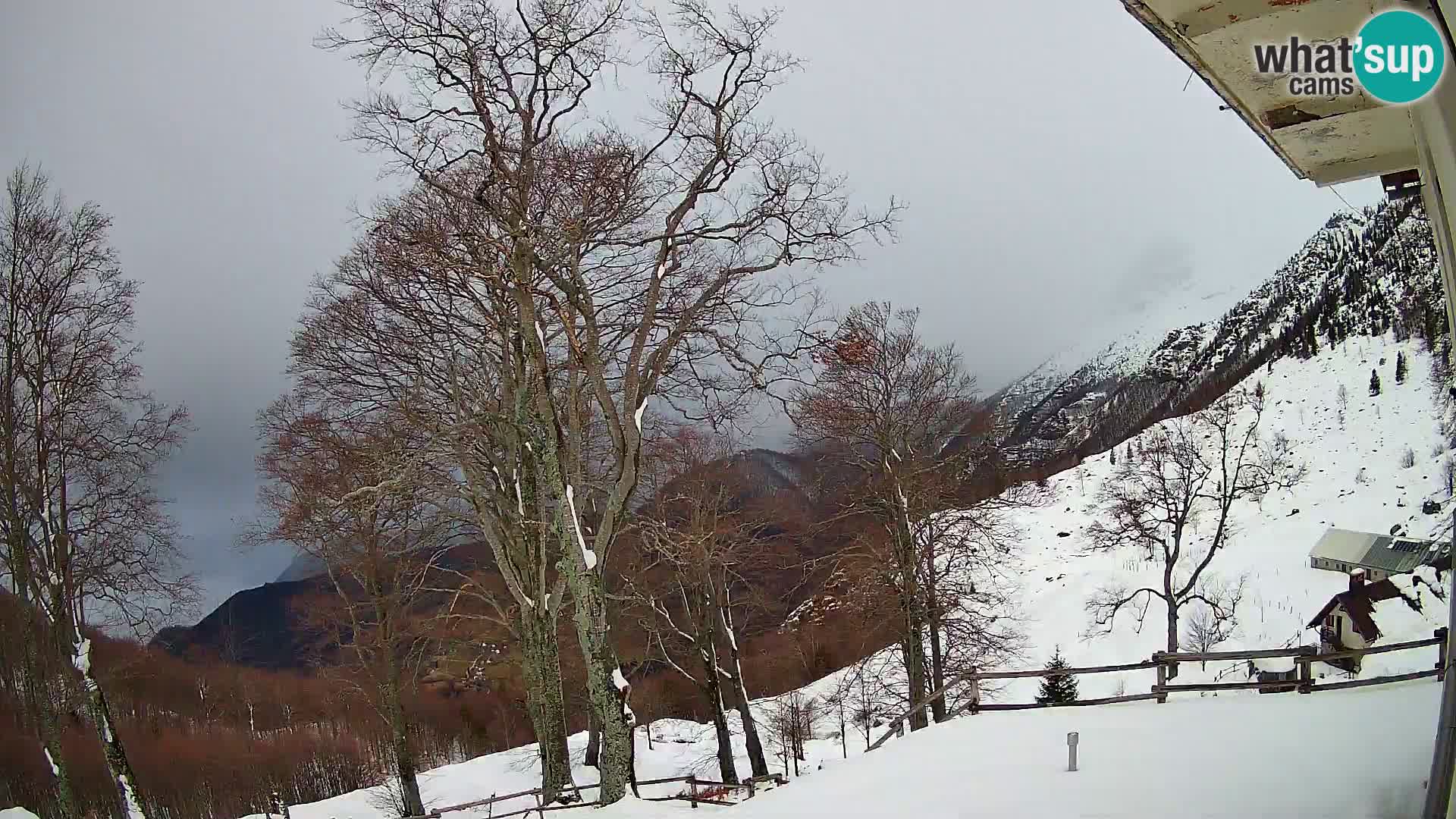 Cámara en vivo de la cabaña de montaña Planina Razor (1315) | vista hacia Tolminski Migovec