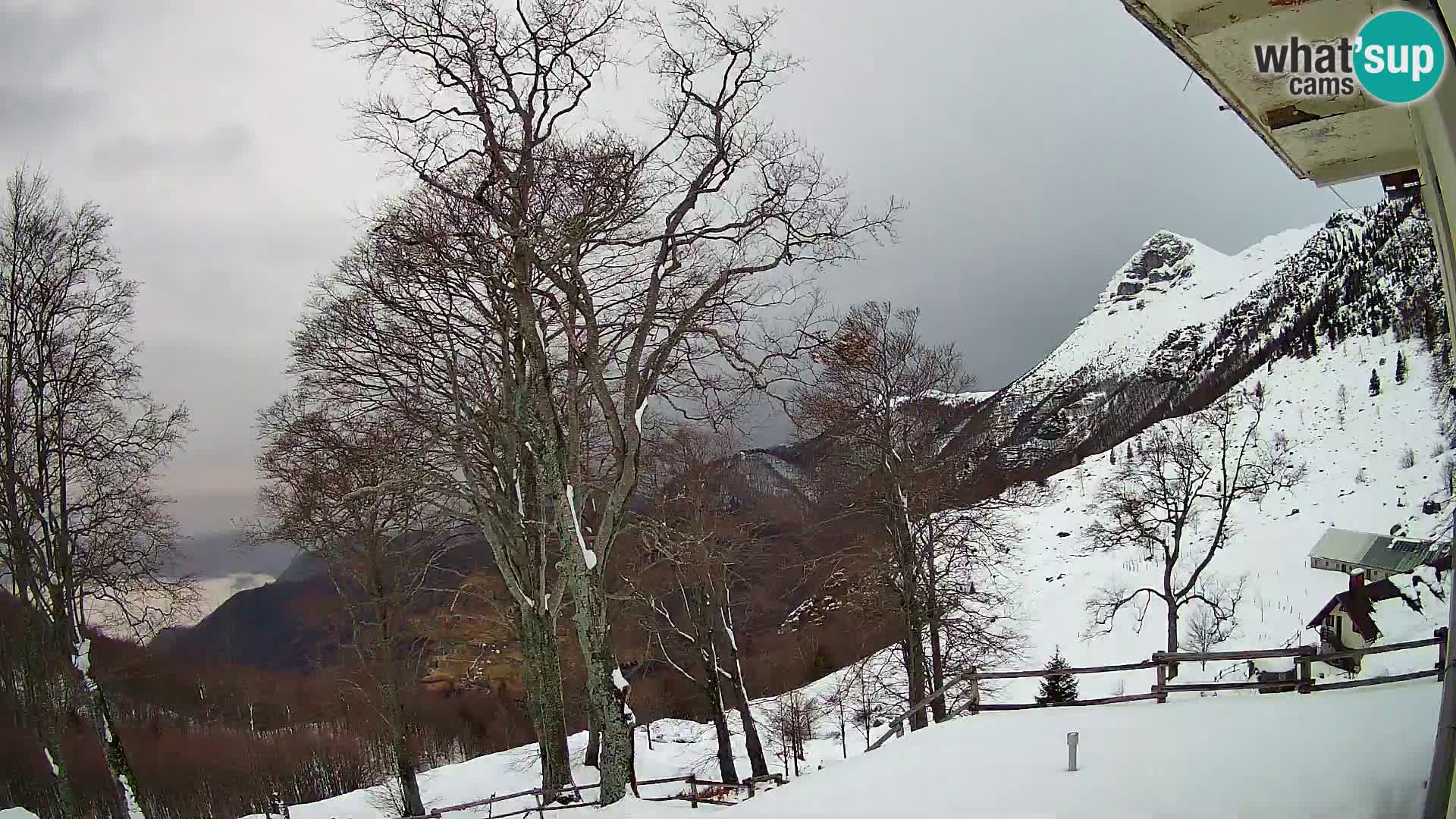 Baita di montagna Planina Razor webcam (1315) | vista su Tolminski Migovec