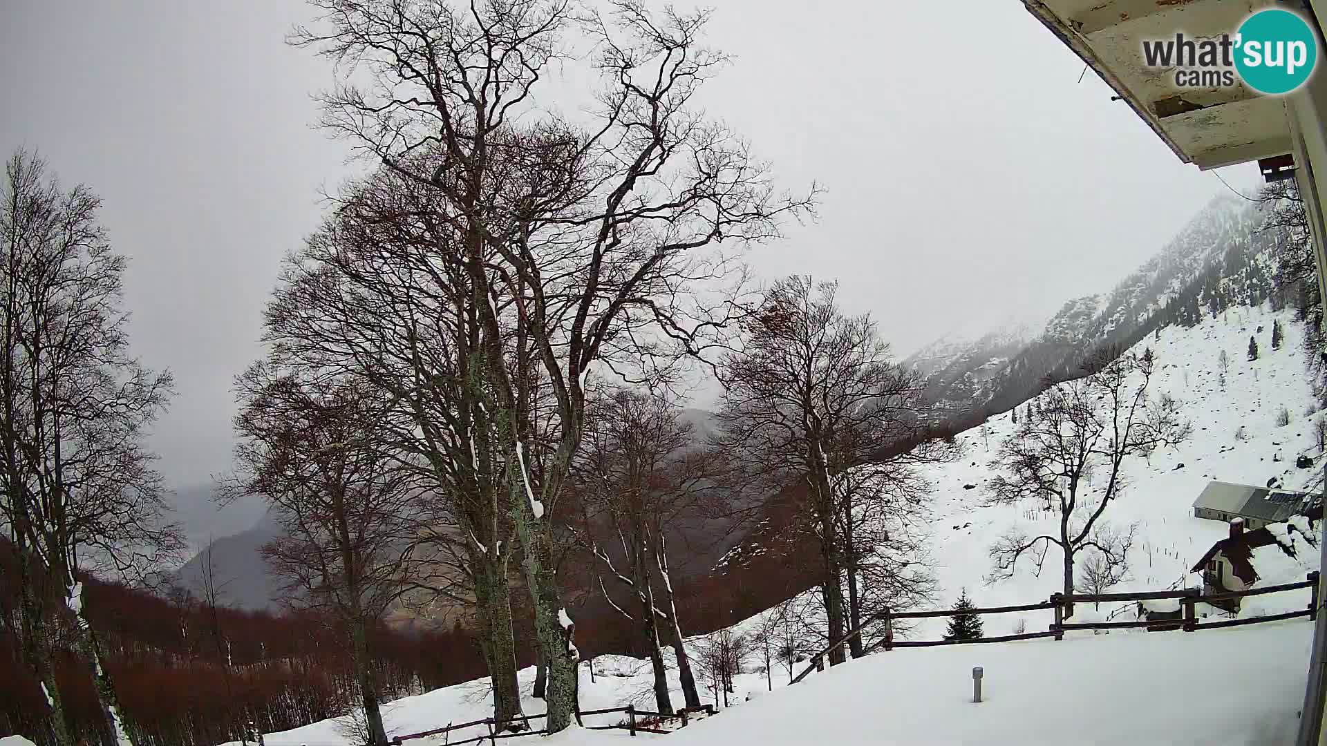 Planina Razor Bergütte Webcam (1315) | Blick auf Tolminski Migovec