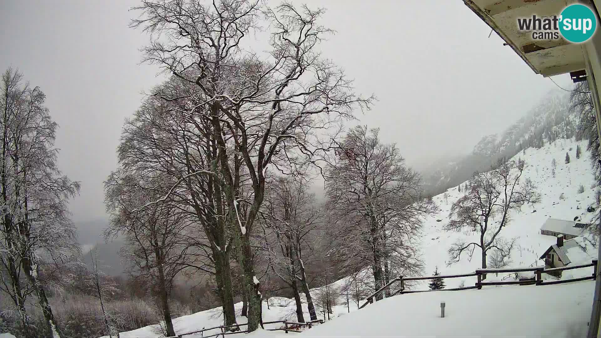 Baita di montagna Planina Razor webcam (1315) | vista su Tolminski Migovec