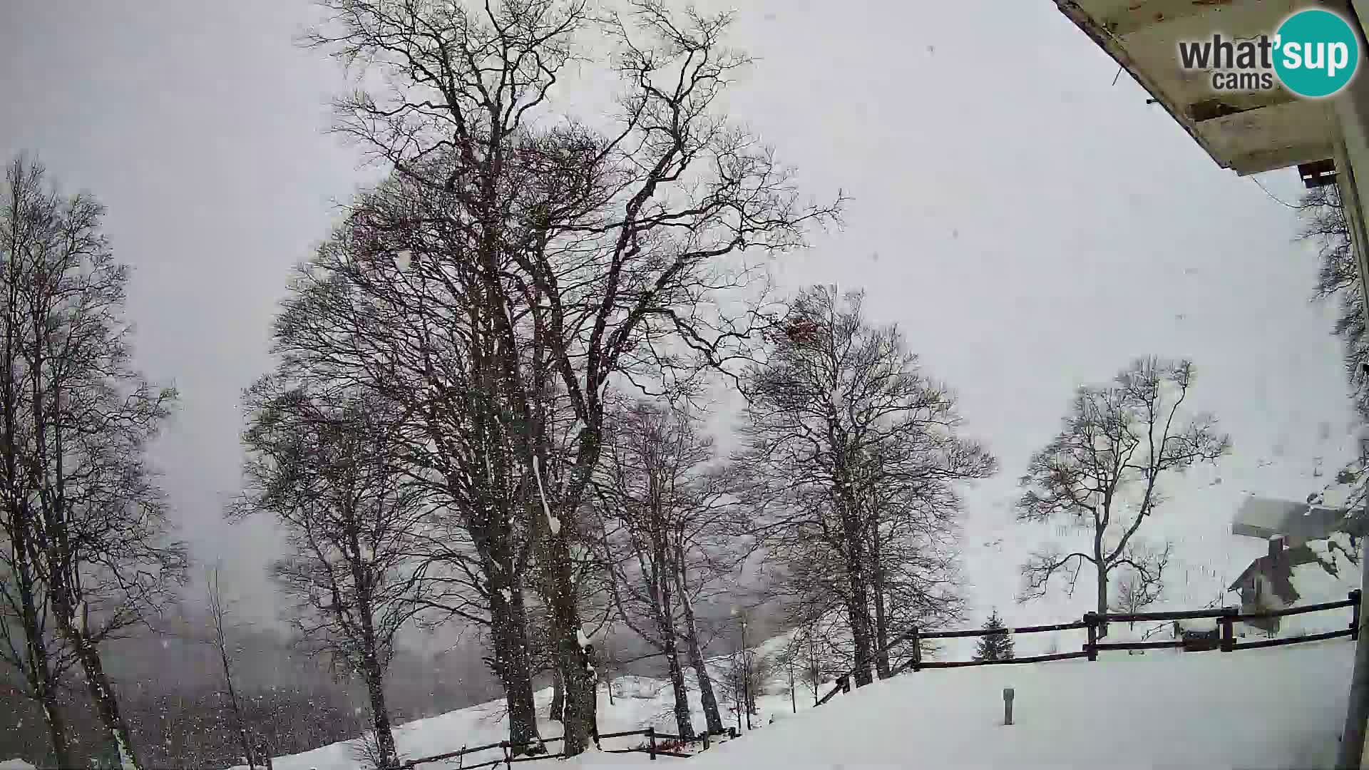 Refuge de la montagne Planina Razor caméra en direct (1315) | vue sur Tolminski Migovec
