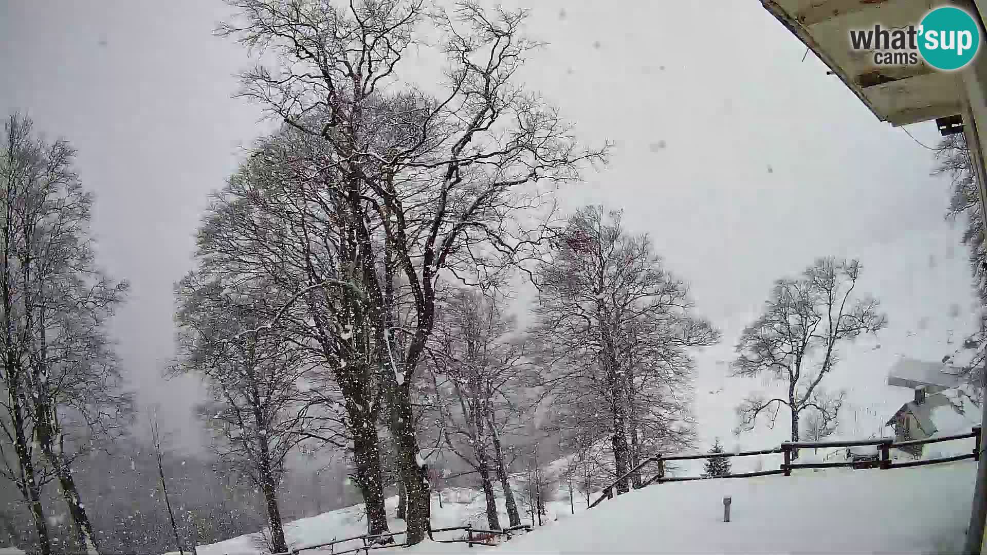 Planinarski dom na planini Razor (1315) | Pogled na Tolminski Migovec