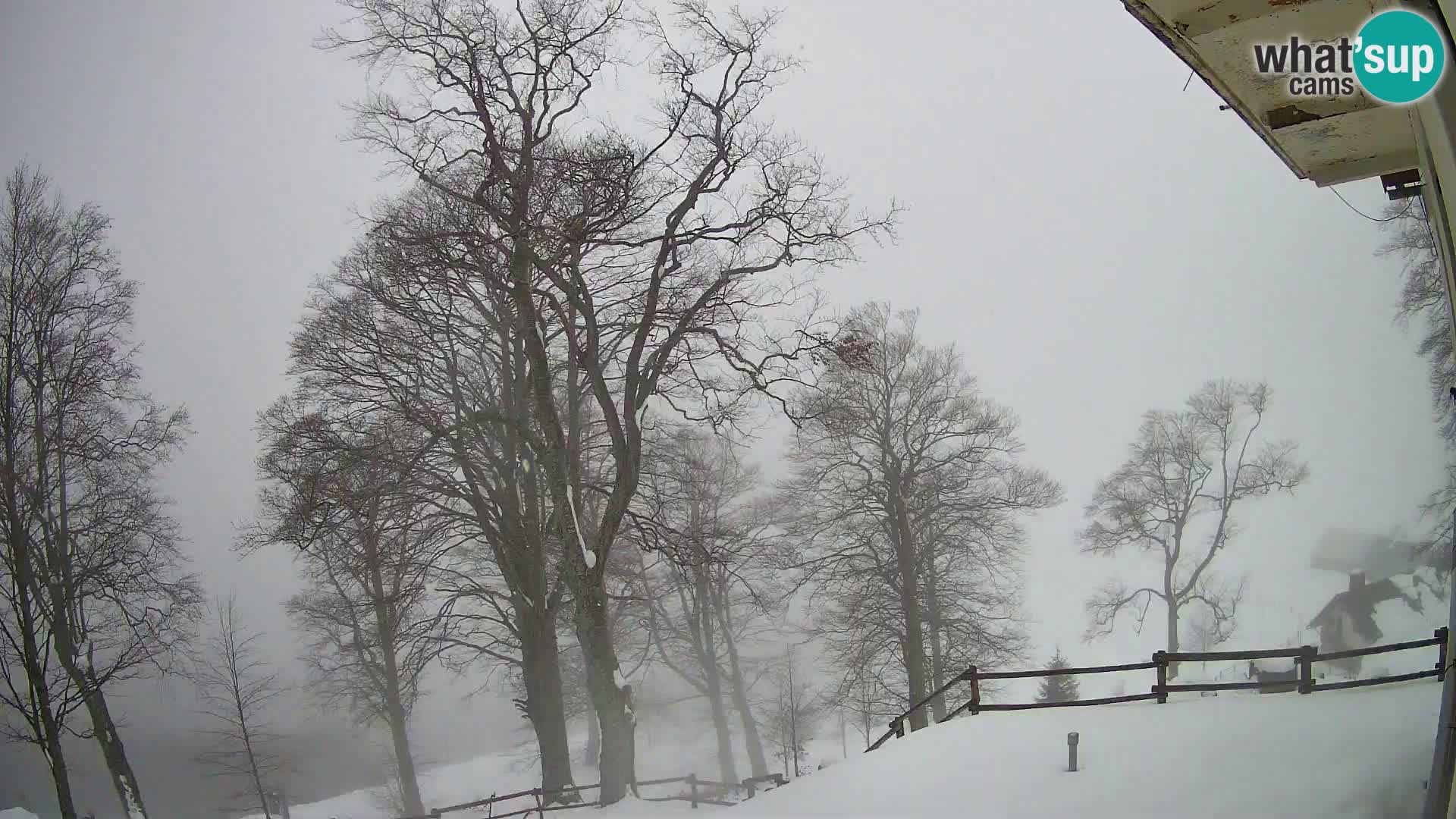 Planina Razor Mountain Hut live cam (1315) | view to Tolminski Migovec