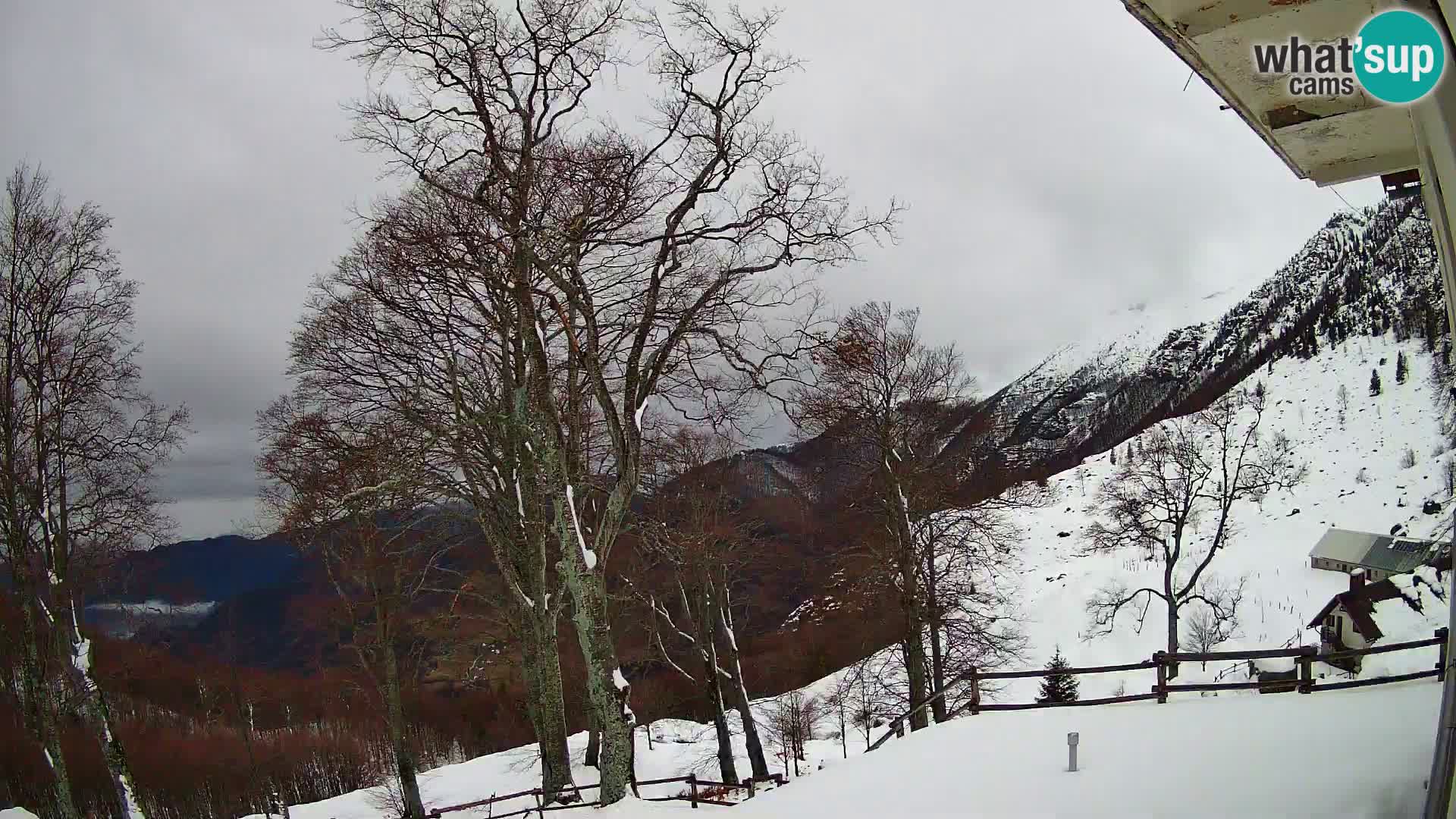 Planina Razor Mountain Hut live cam (1315) | view to Tolminski Migovec