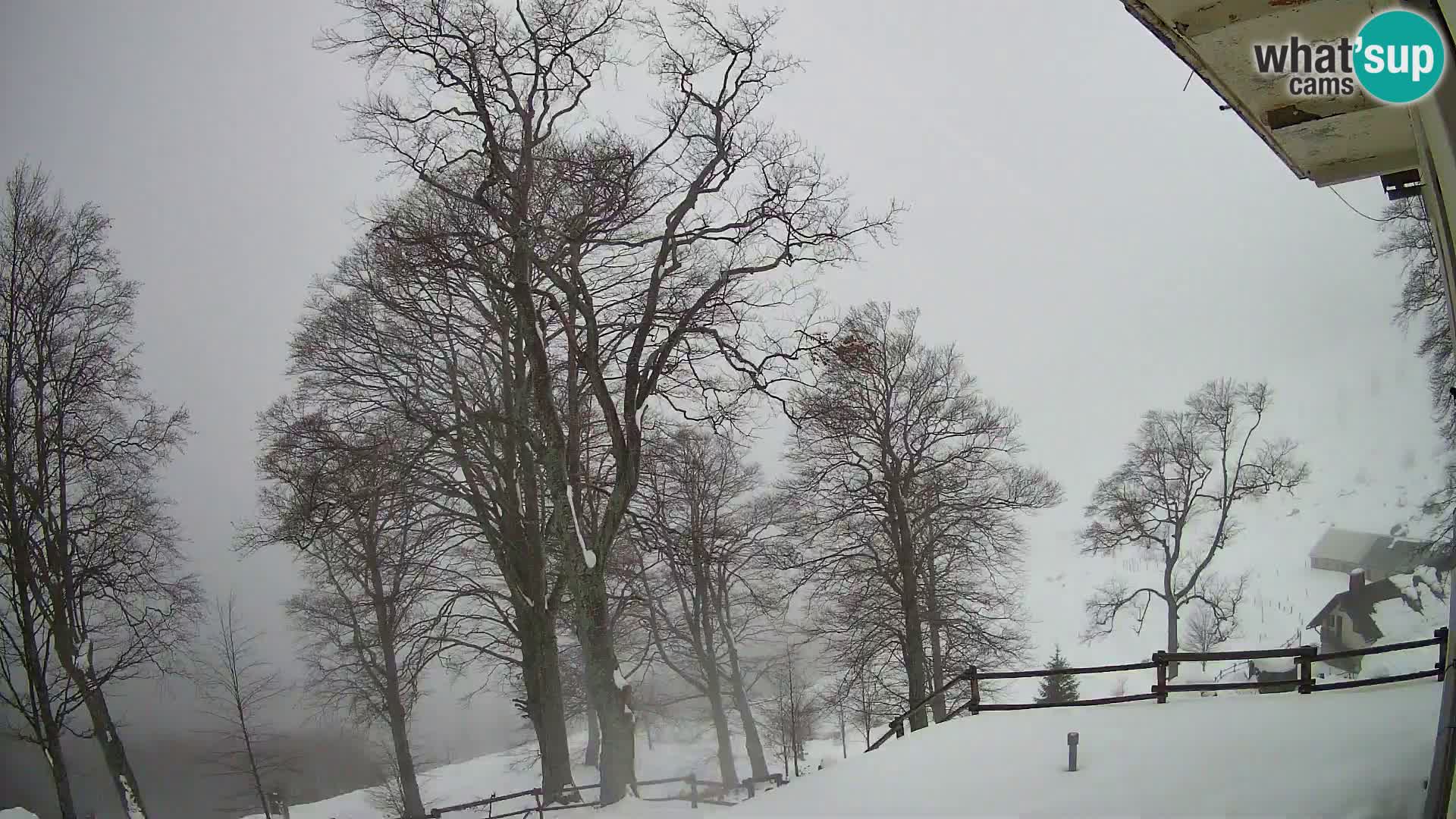 Planina Razor Bergütte Webcam (1315) | Blick auf Tolminski Migovec