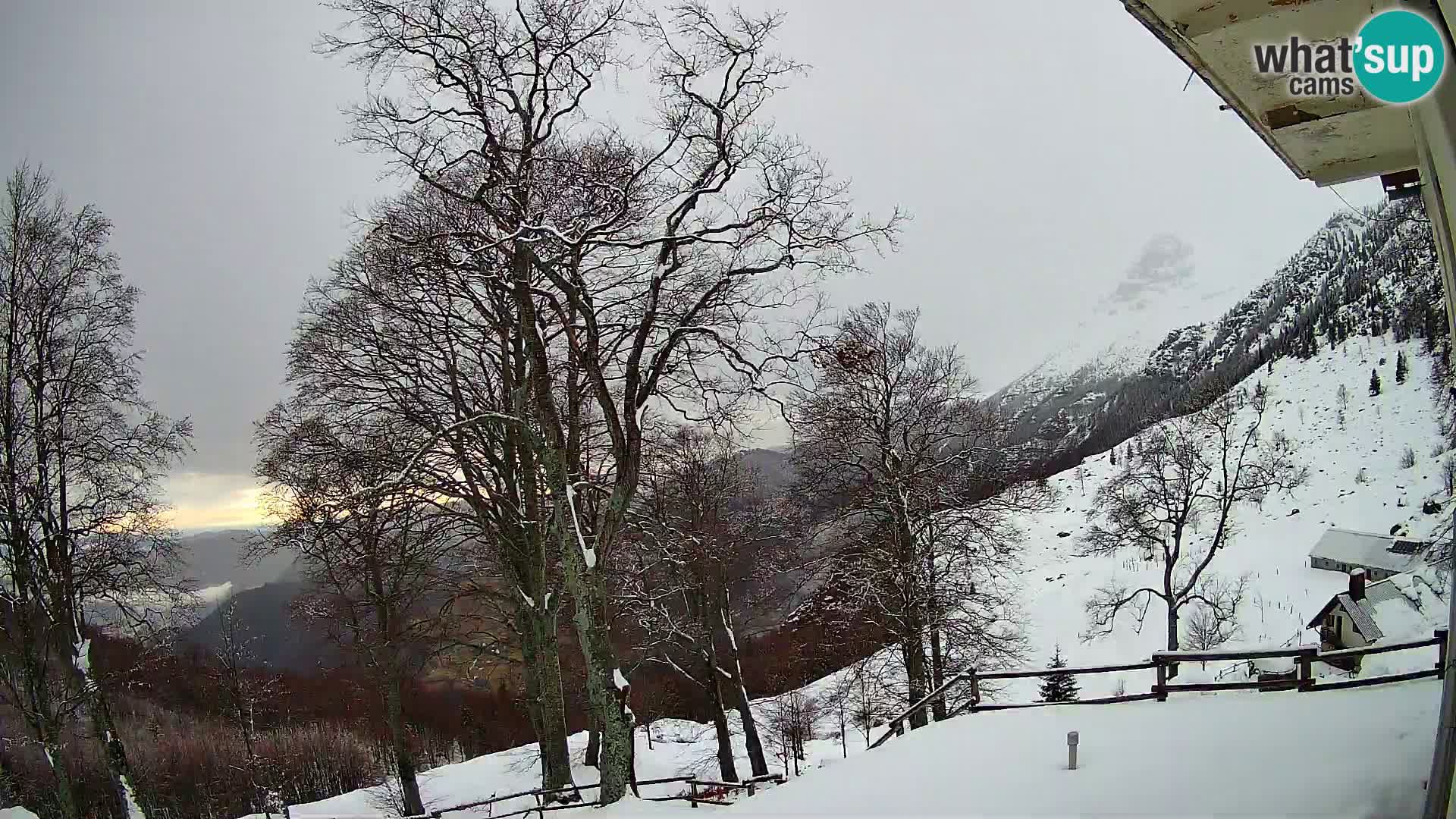 Baita di montagna Planina Razor webcam (1315) | vista su Tolminski Migovec