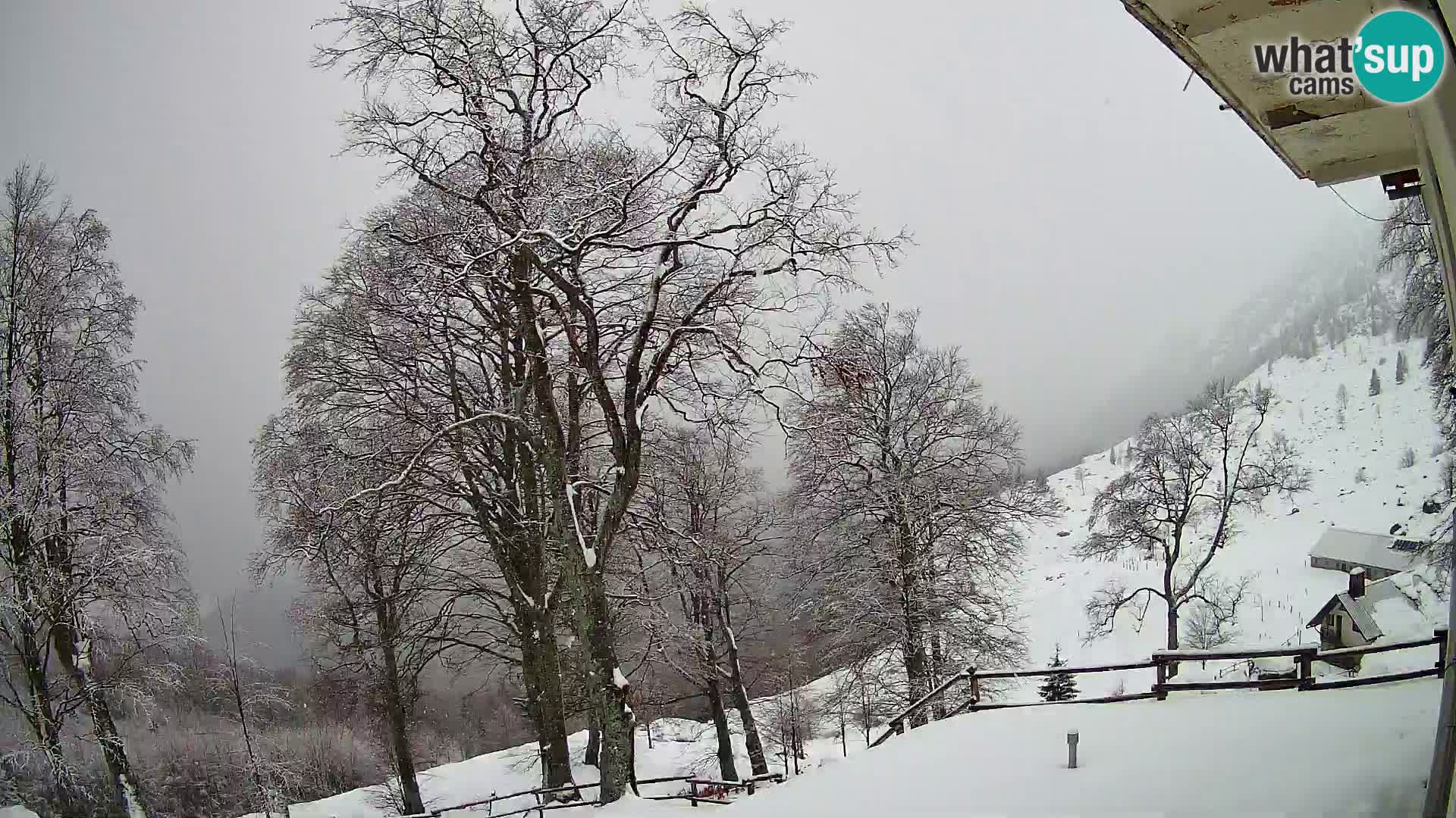 Baita di montagna Planina Razor webcam (1315) | vista su Tolminski Migovec