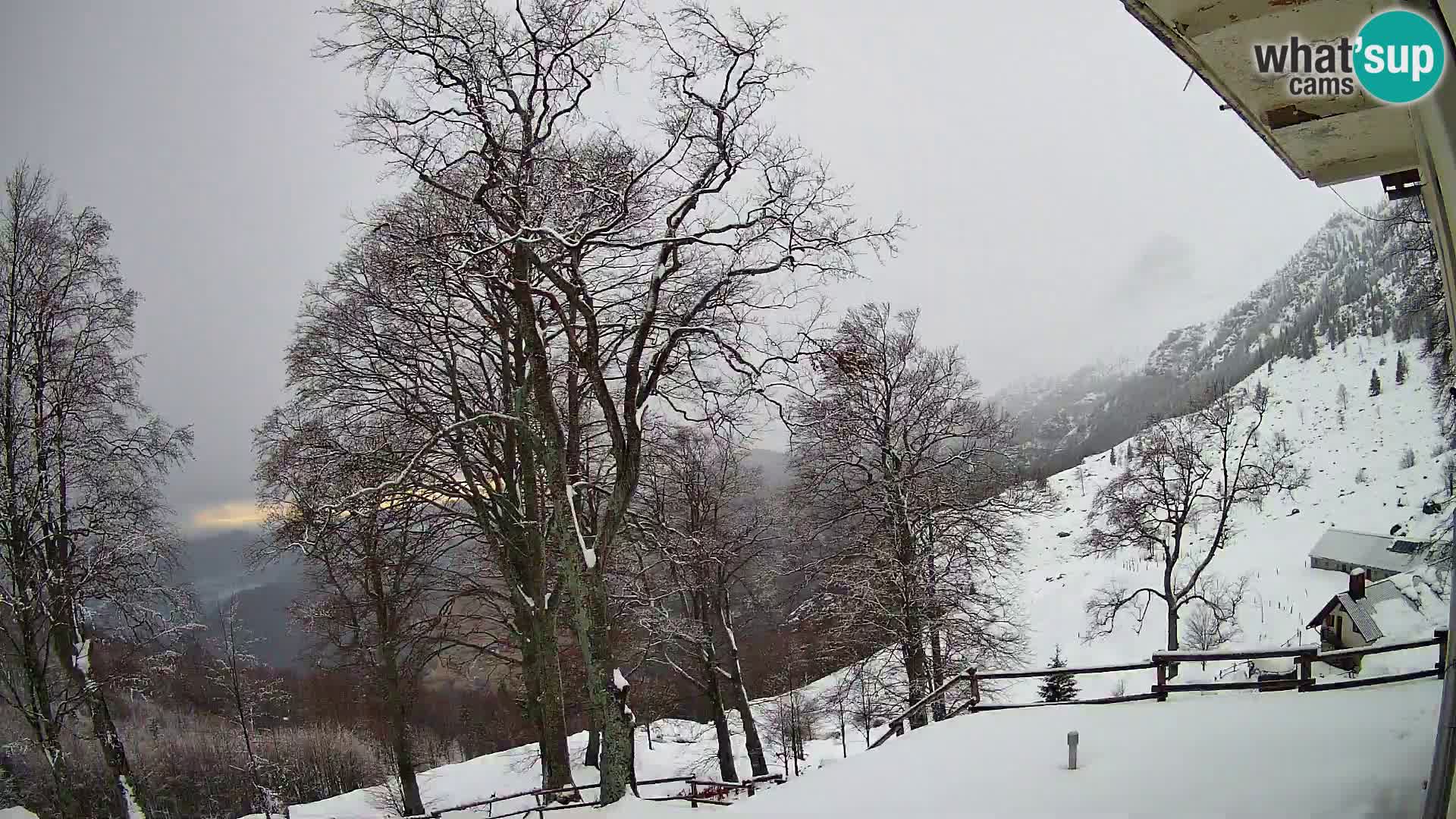 Baita di montagna Planina Razor webcam (1315) | vista su Tolminski Migovec