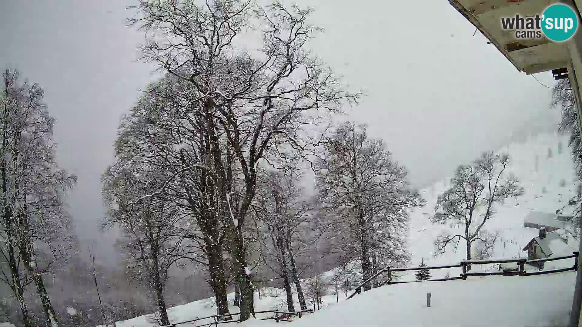 Planina Razor Mountain Hut live cam (1315) | view to Tolminski Migovec