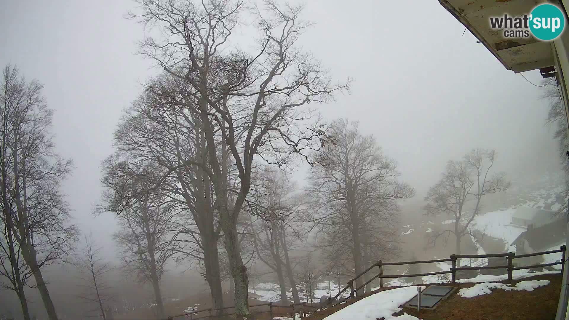 Baita di montagna Planina Razor webcam (1315) | vista su Tolminski Migovec