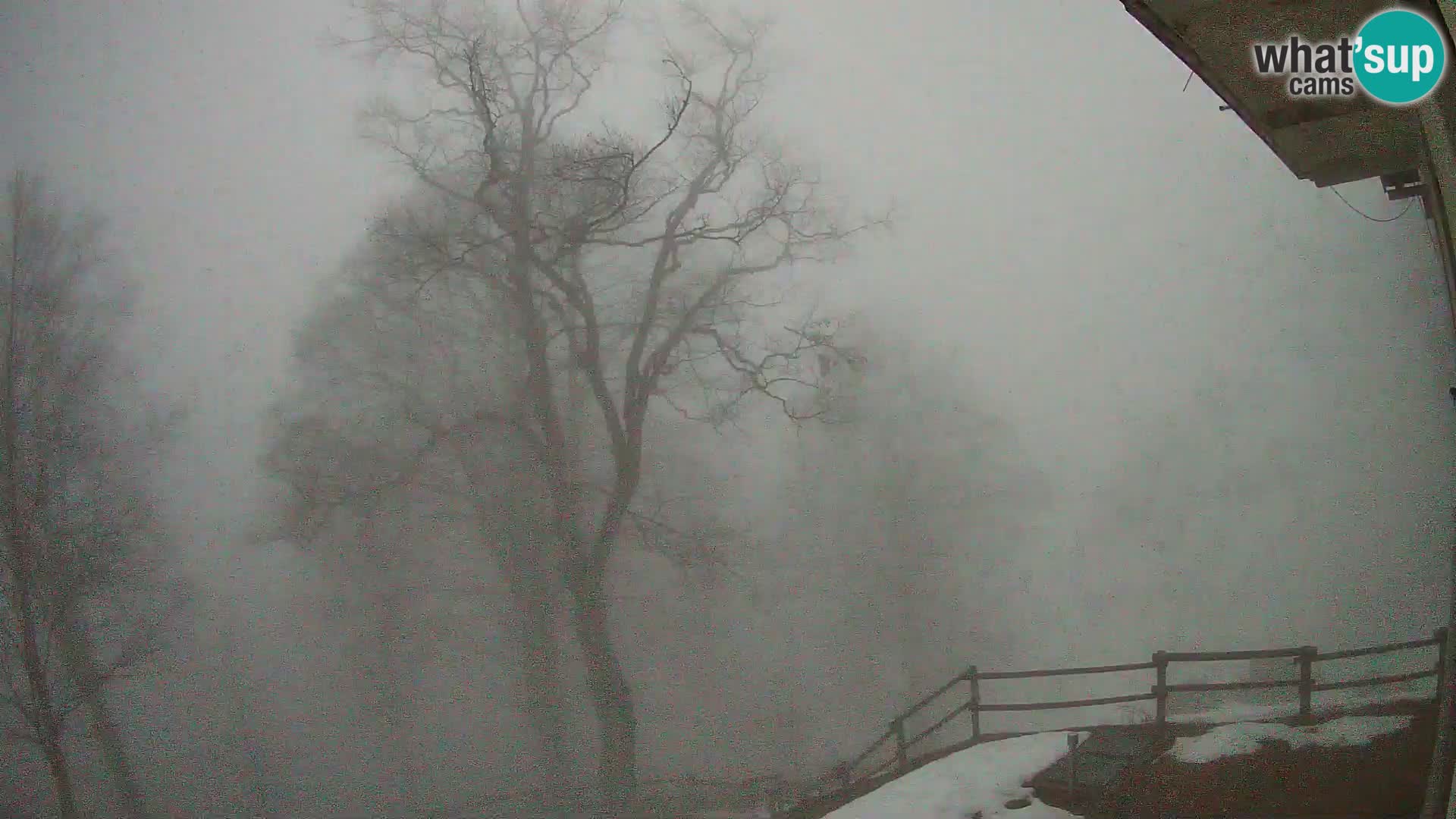 Planina Razor Mountain Hut live cam (1315) | view to Tolminski Migovec