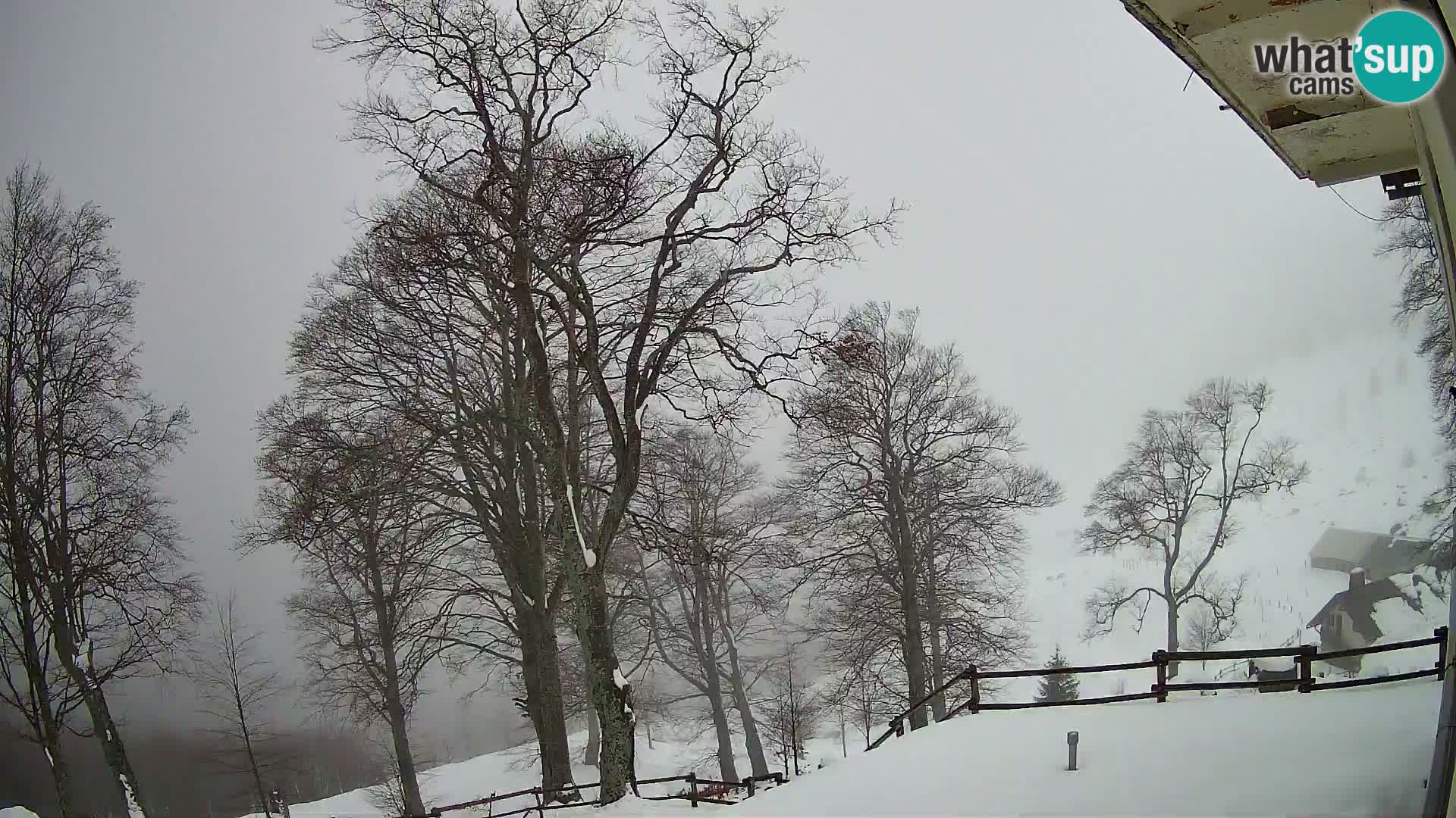 Baita di montagna Planina Razor webcam (1315) | vista su Tolminski Migovec