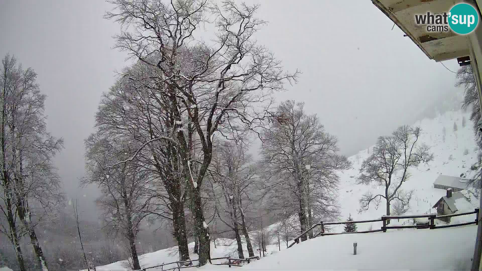 Baita di montagna Planina Razor webcam (1315) | vista su Tolminski Migovec