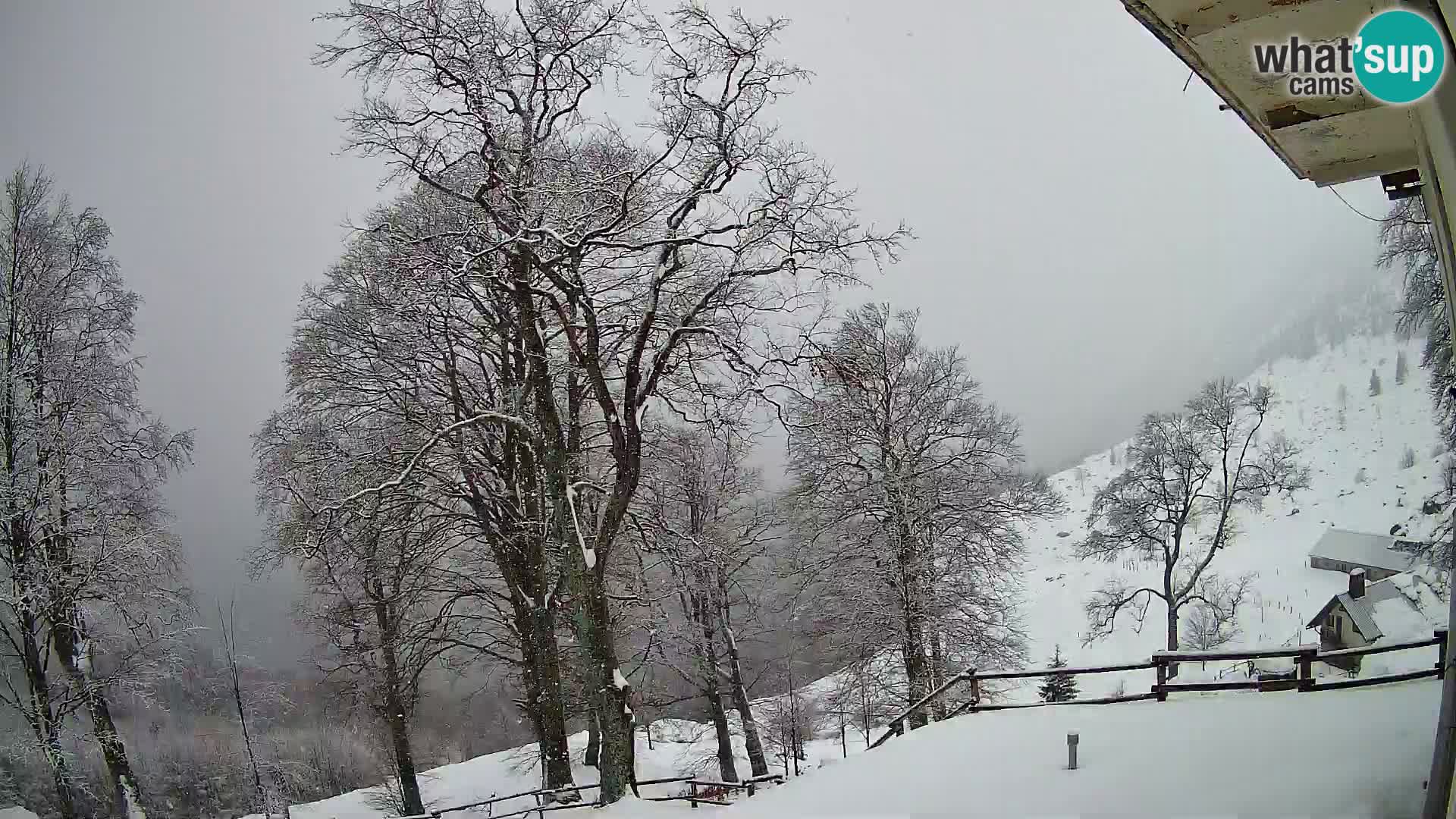 Refuge de la montagne Planina Razor caméra en direct (1315) | vue sur Tolminski Migovec