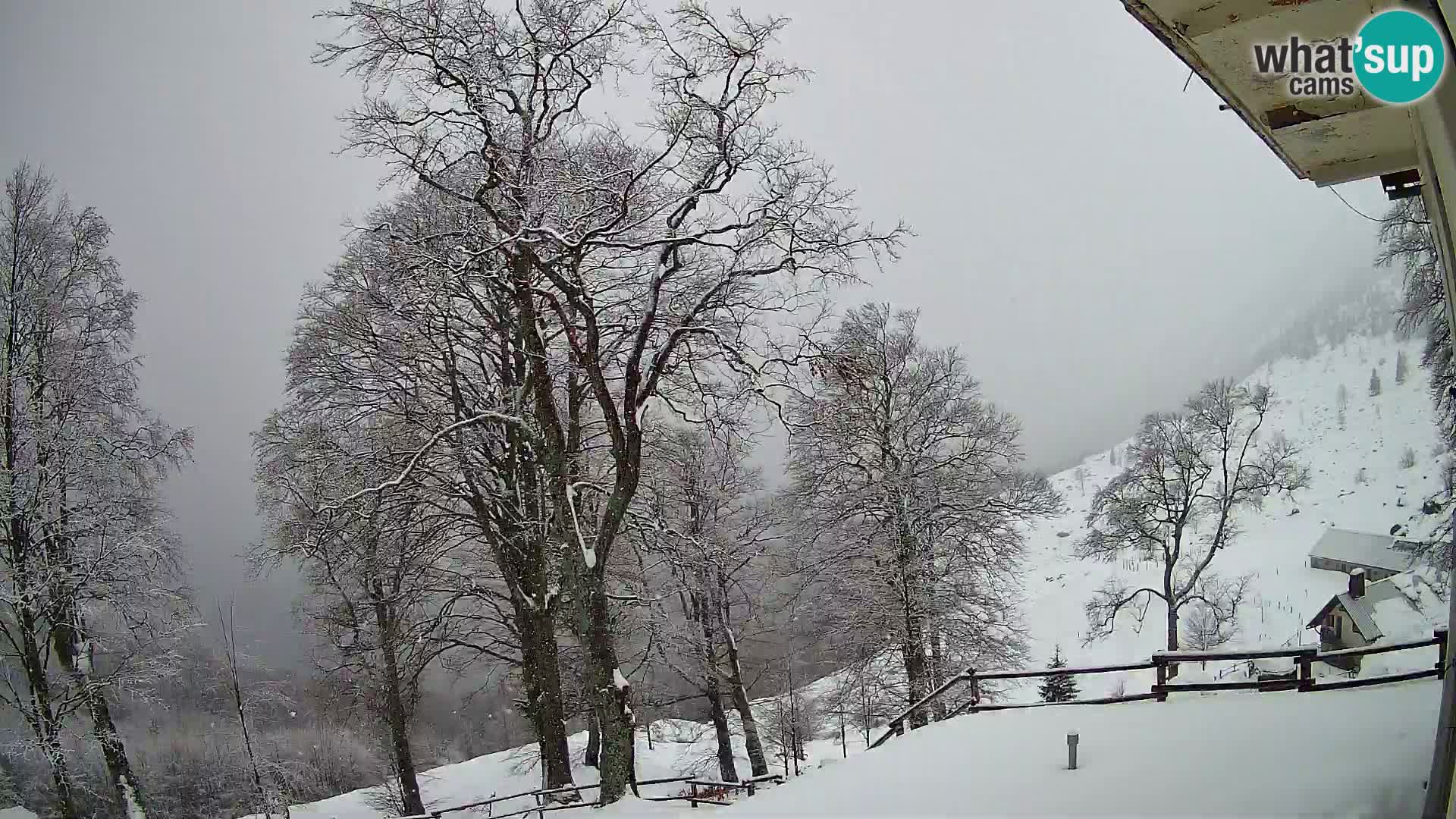 Baita di montagna Planina Razor webcam (1315) | vista su Tolminski Migovec