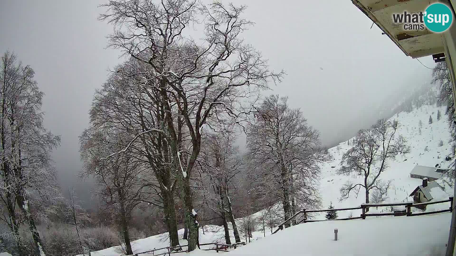 Refuge de la montagne Planina Razor caméra en direct (1315) | vue sur Tolminski Migovec