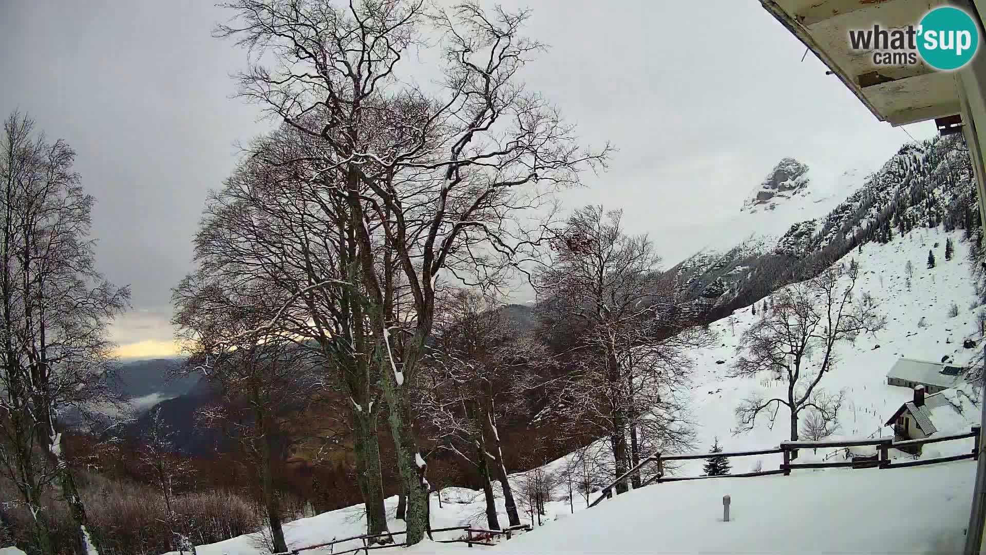 Planina Razor Bergütte Webcam (1315) | Blick auf Tolminski Migovec