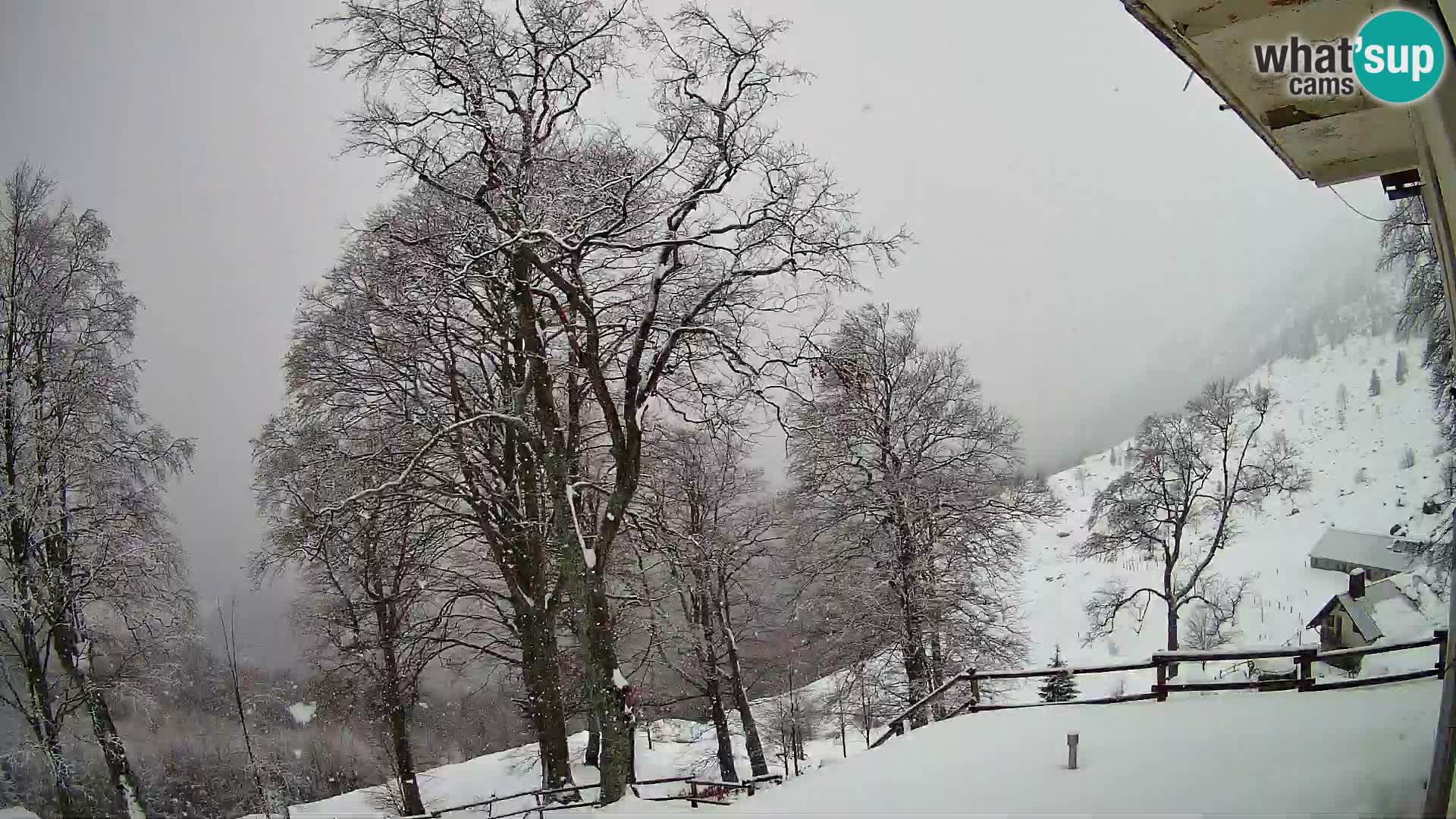 Planina Razor Bergütte Webcam (1315) | Blick auf Tolminski Migovec