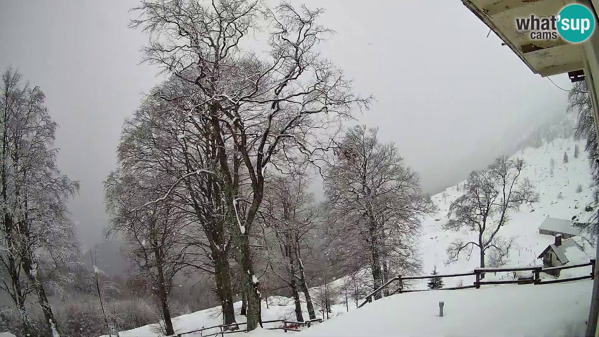 Refuge de la montagne Planina Razor caméra en direct (1315) | vue sur Tolminski Migovec