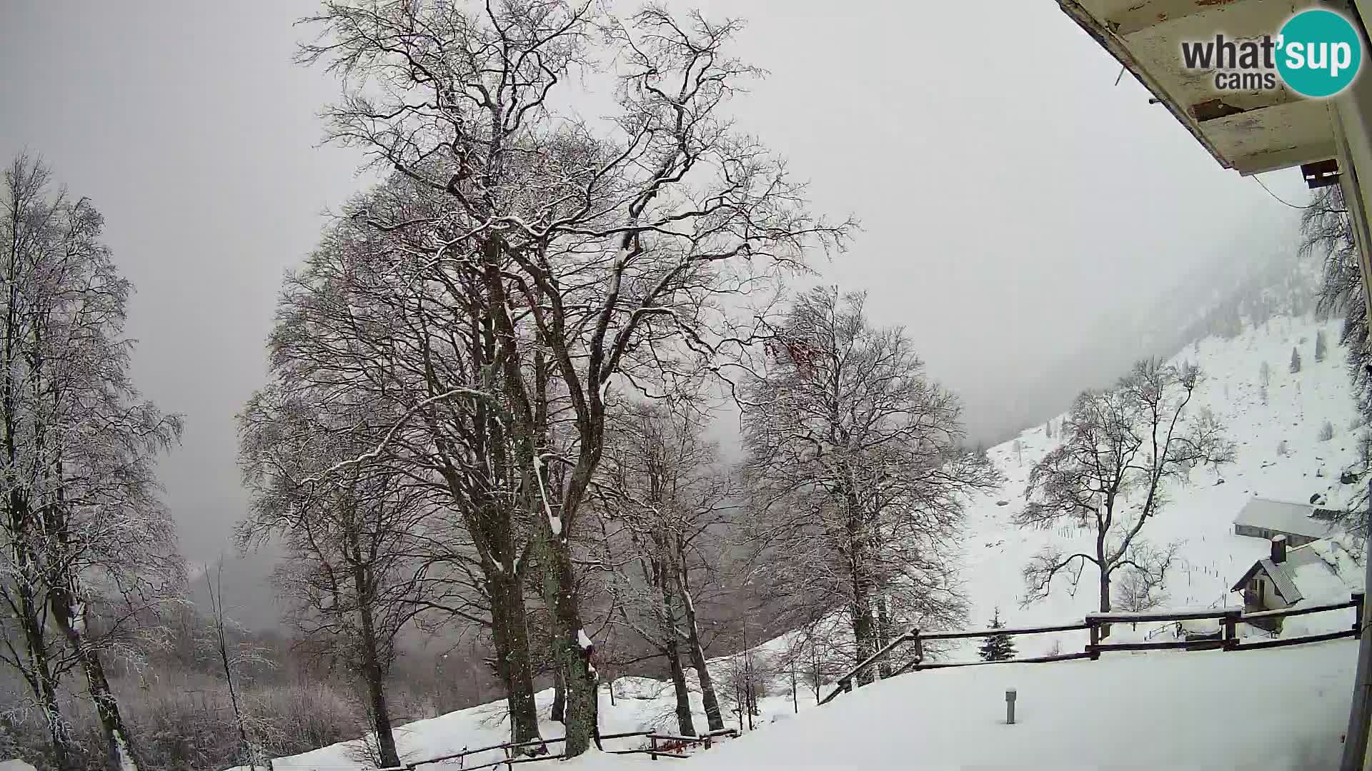 Cámara en vivo de la cabaña de montaña Planina Razor (1315) | vista hacia Tolminski Migovec