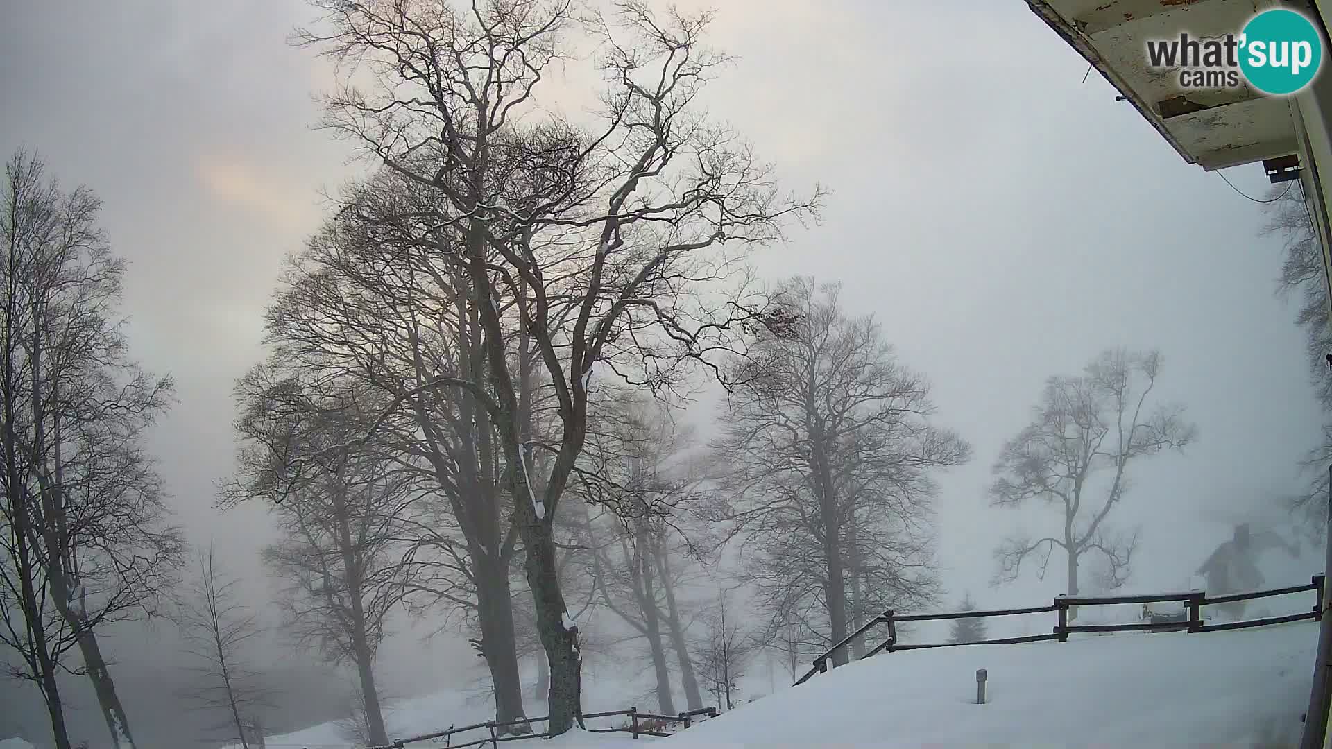 Planina Razor Mountain Hut live cam (1315) | view to Tolminski Migovec