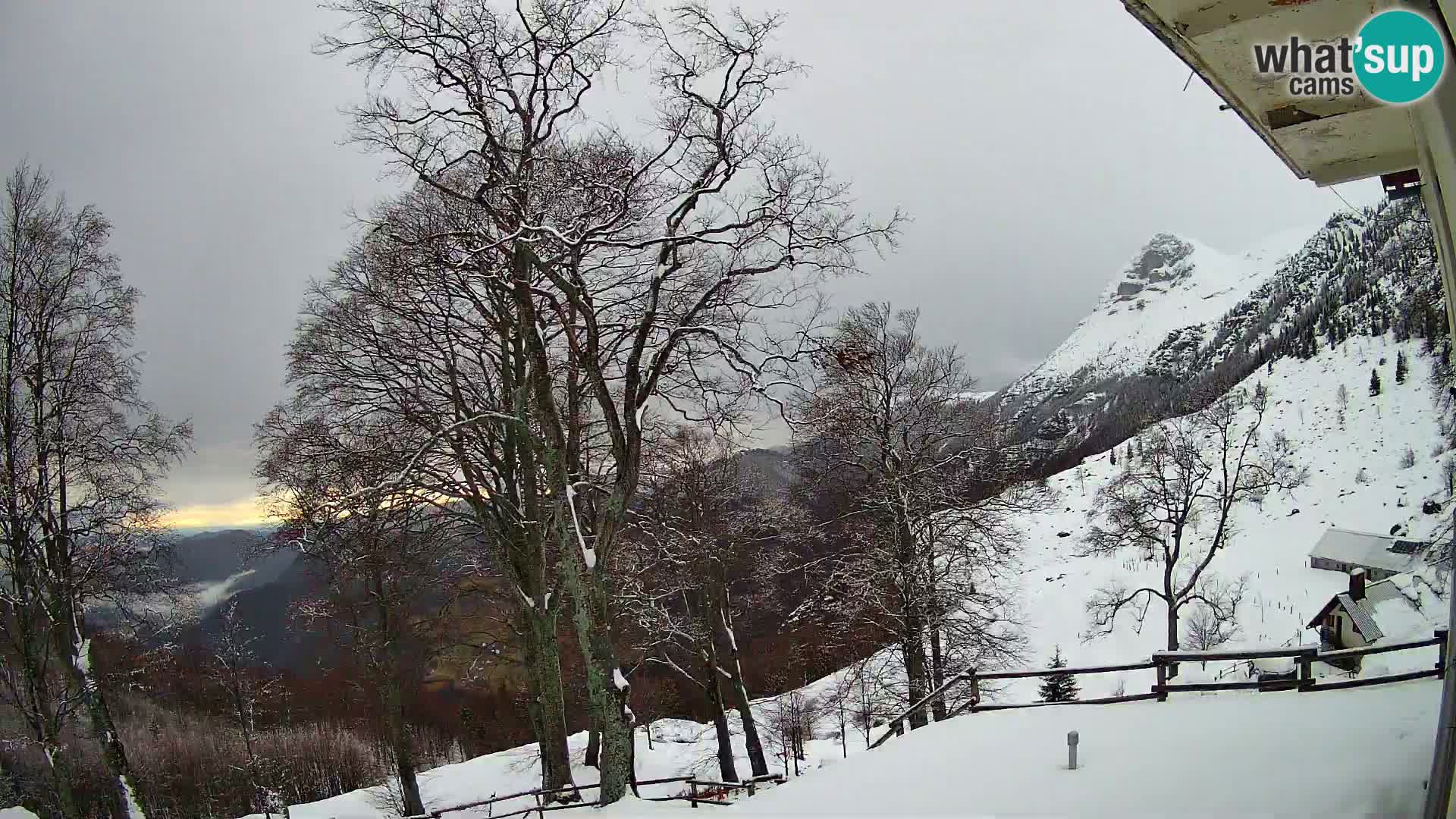 Planina Razor Mountain Hut live cam (1315) | view to Tolminski Migovec