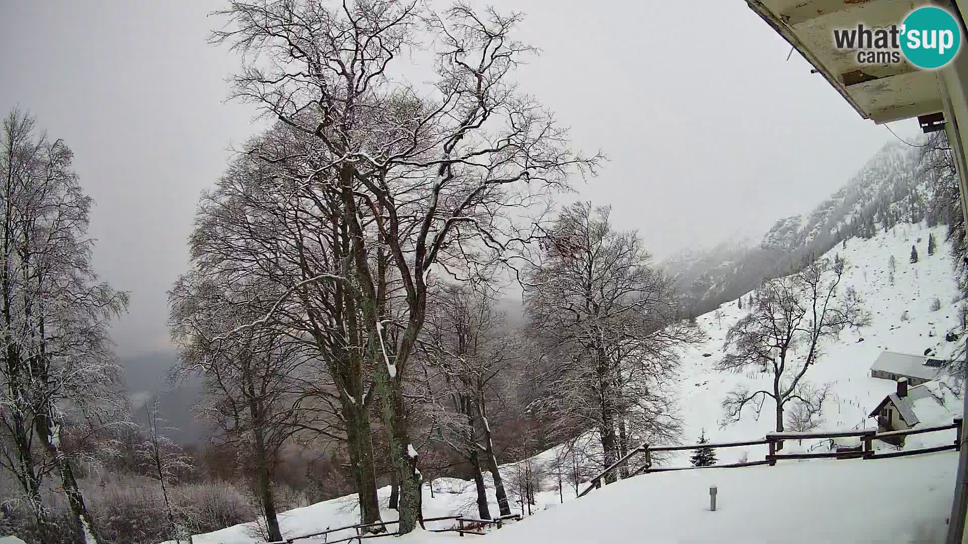 Planinarski dom na planini Razor (1315) | Pogled na Tolminski Migovec